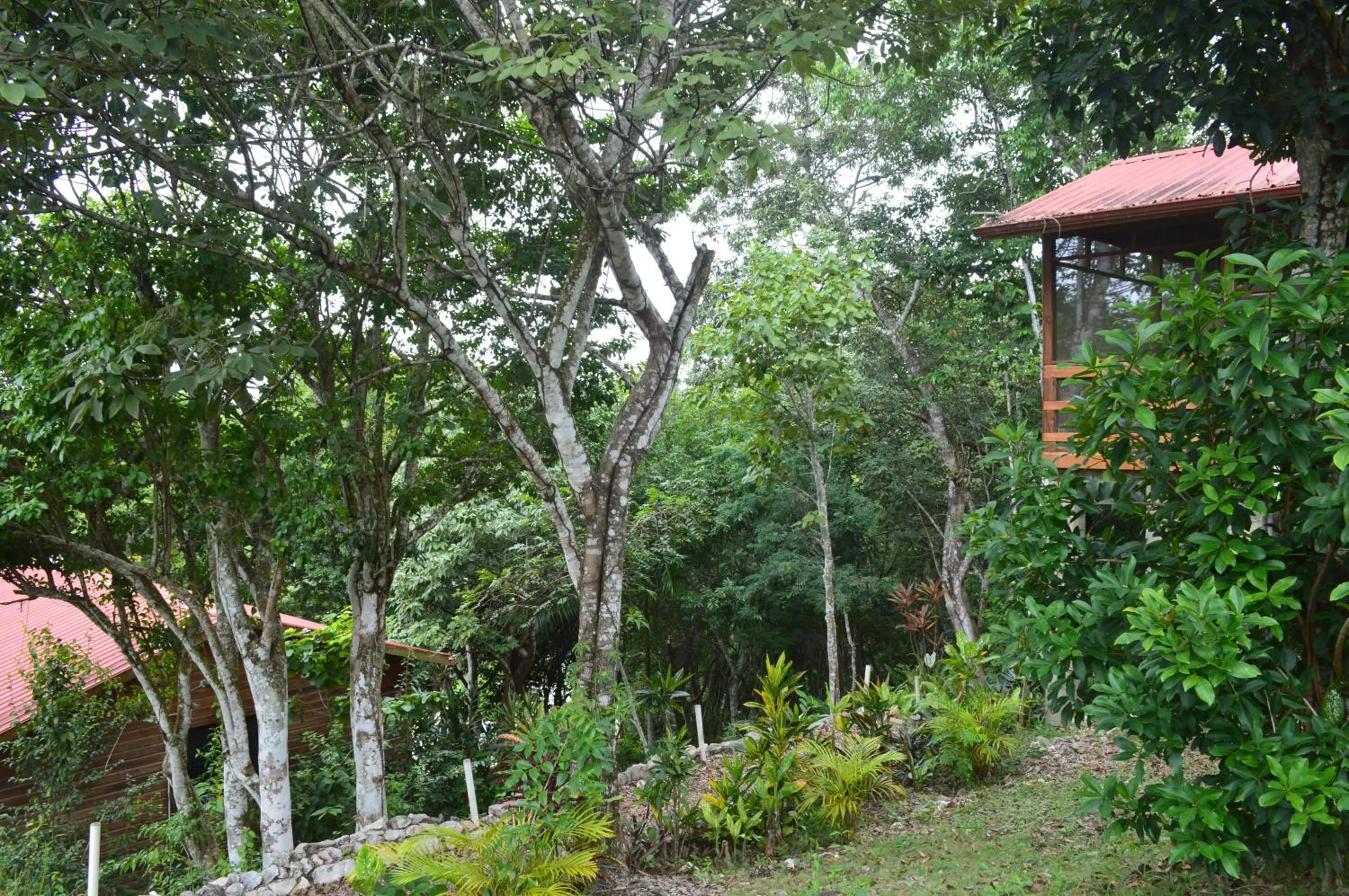 Natural landscape in Santa Cruz Cabins