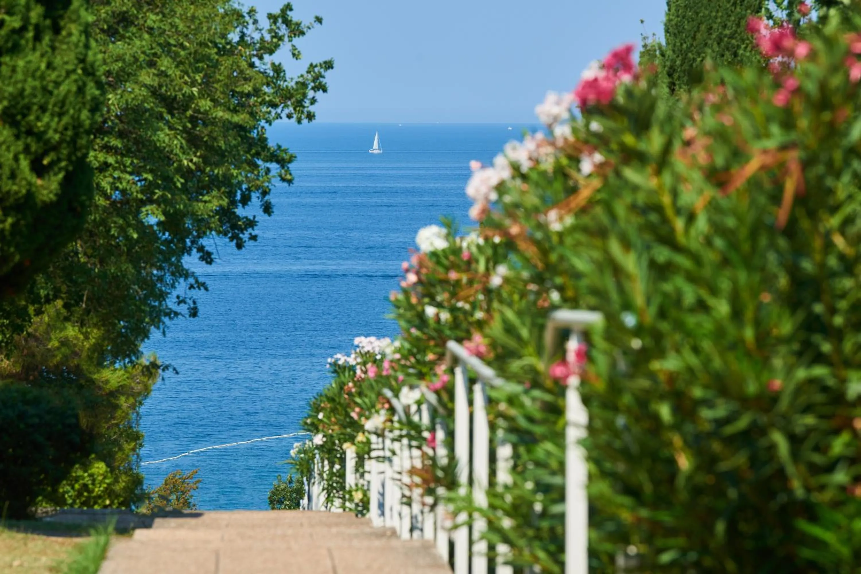 Natural landscape in Apartments Bellevue Plava Laguna