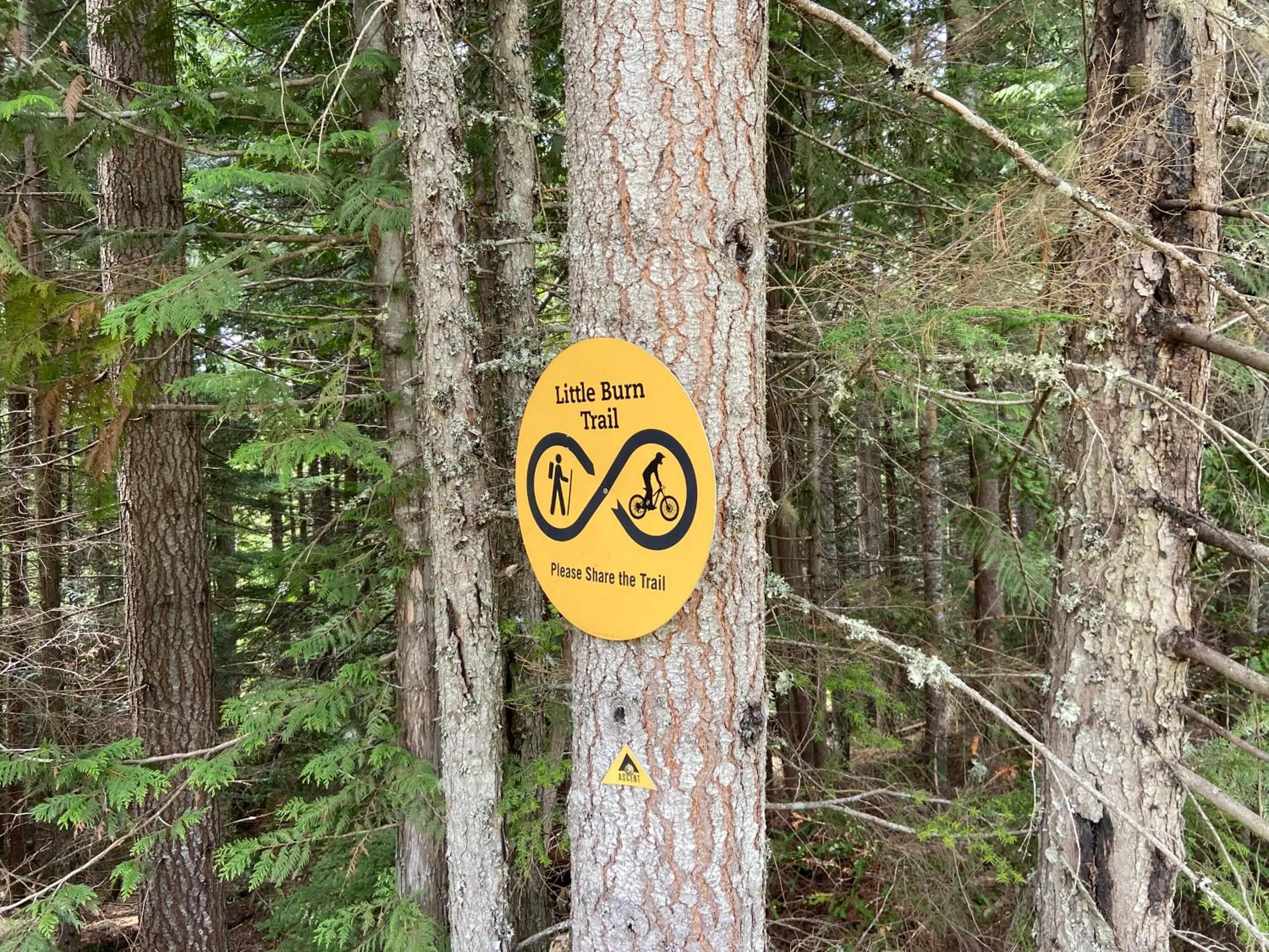 Hiking in Blackcomb Springs Suites by CLIQUE