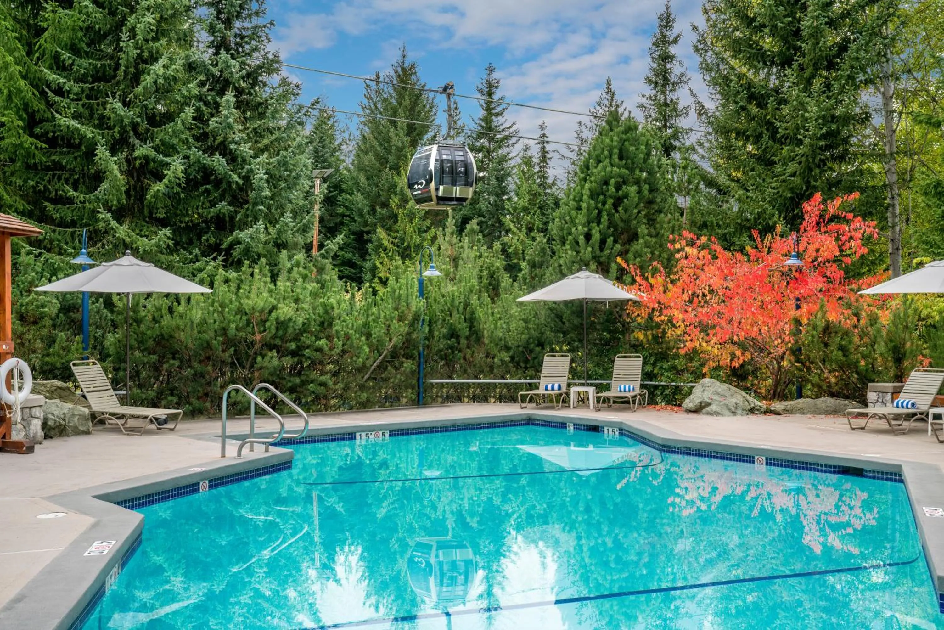 Pool view in Blackcomb Springs Suites by CLIQUE