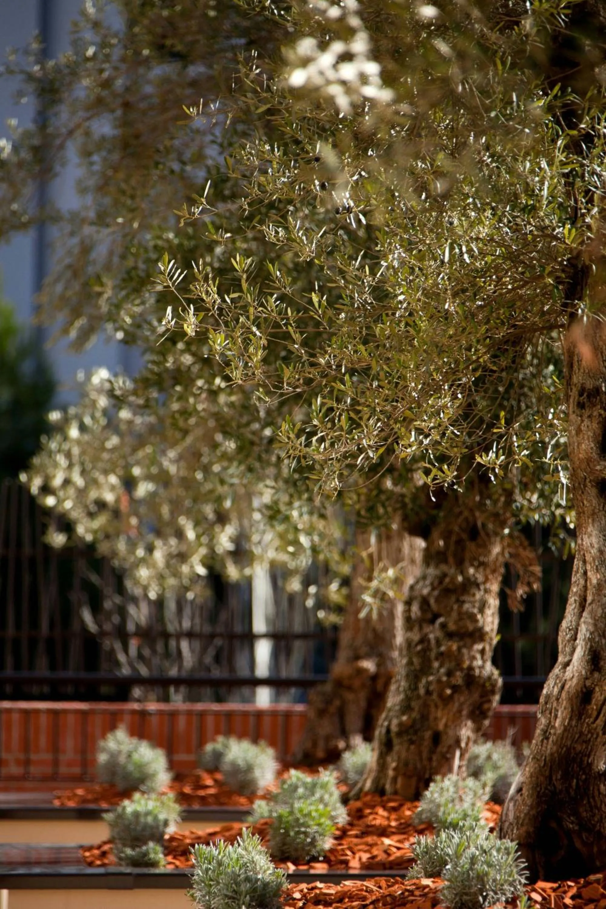 Other in Renaissance Aix-en-Provence Hotel