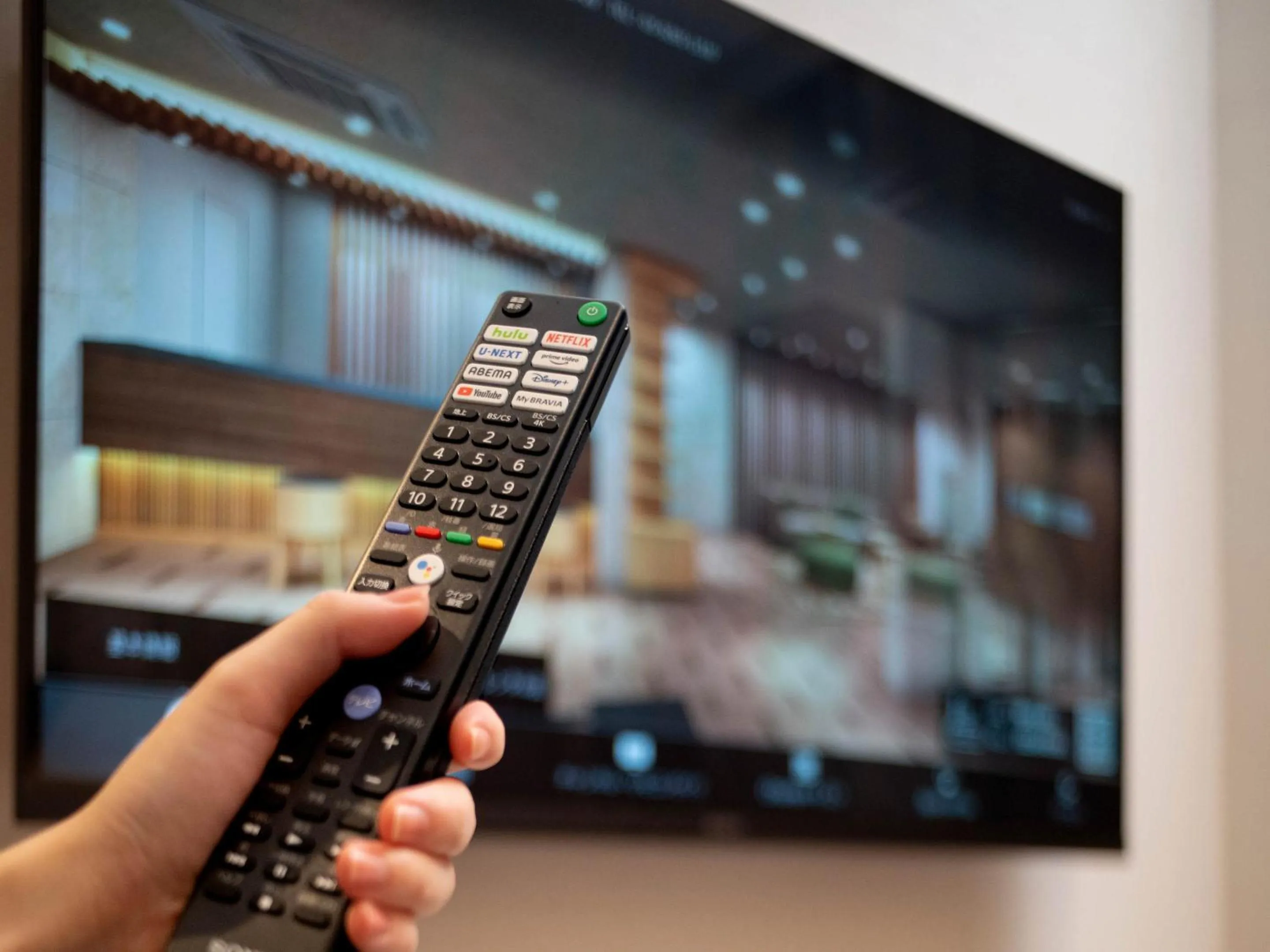 TV and multimedia in KAMENOI HOTEL Oarai