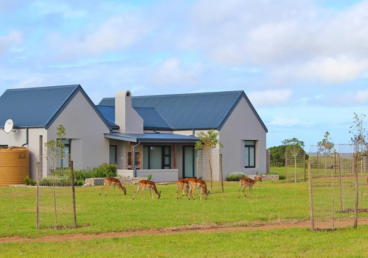 Property building in Hotel Olivewood