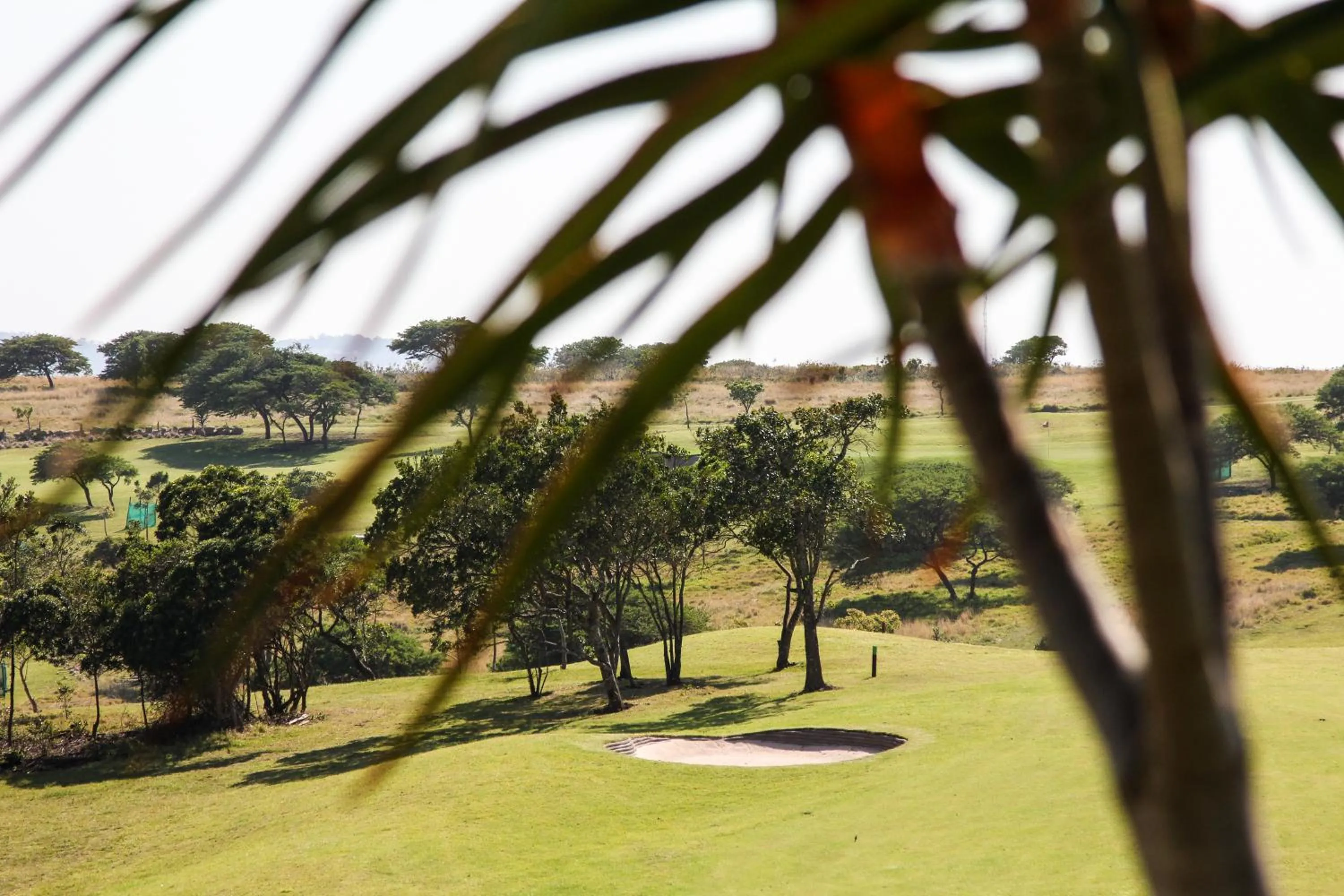 Golfcourse in Hotel Olivewood