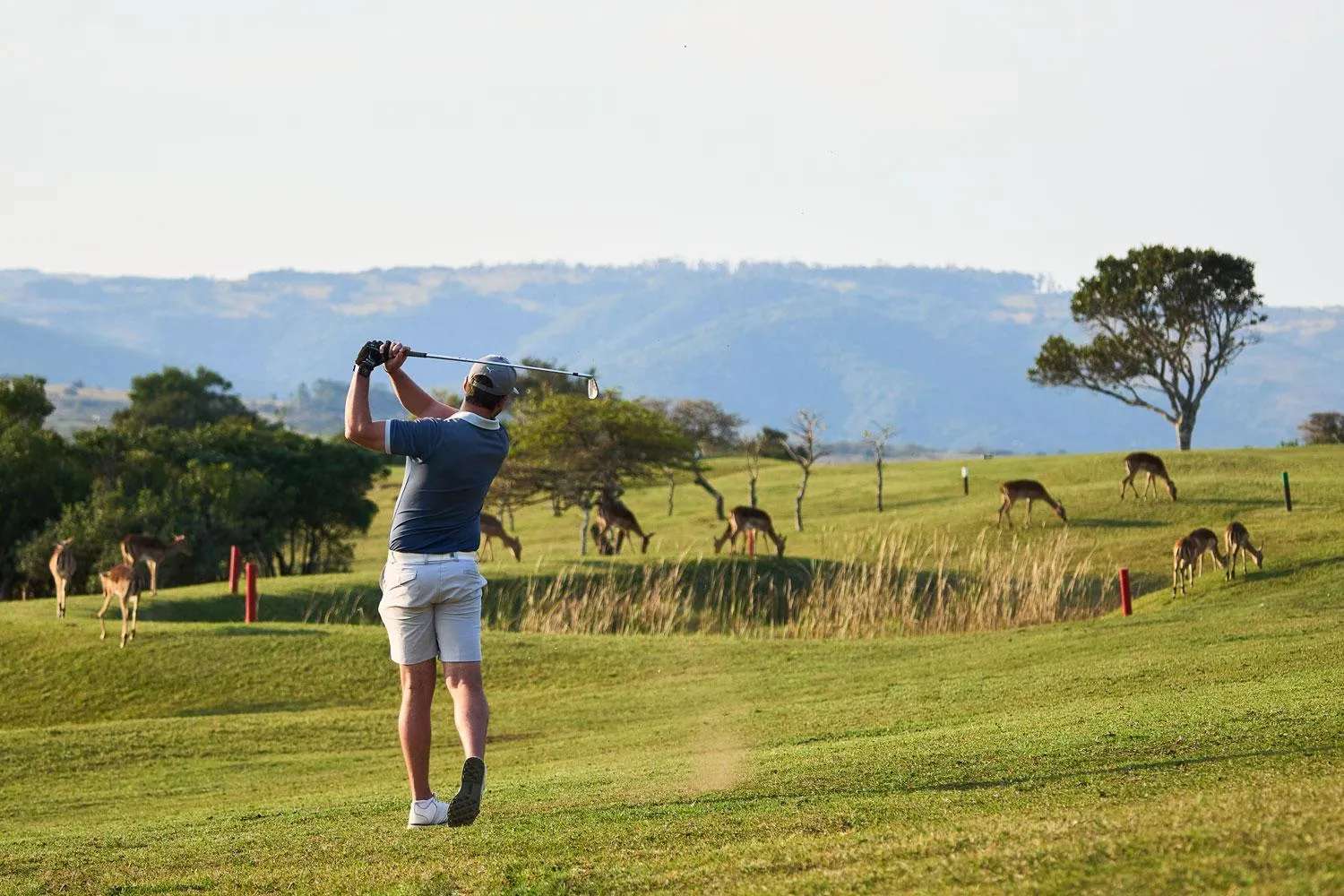 Golfcourse in Hotel Olivewood