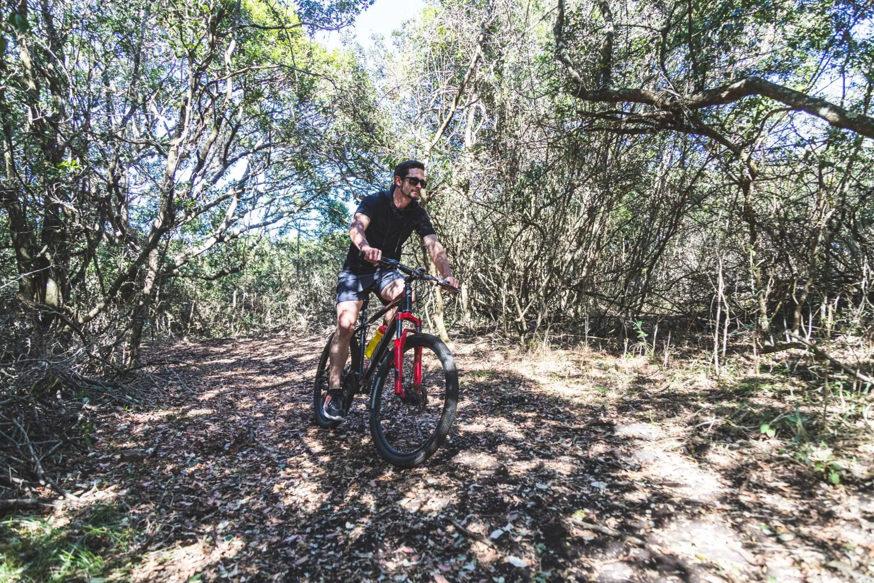 Activities in Hotel Olivewood