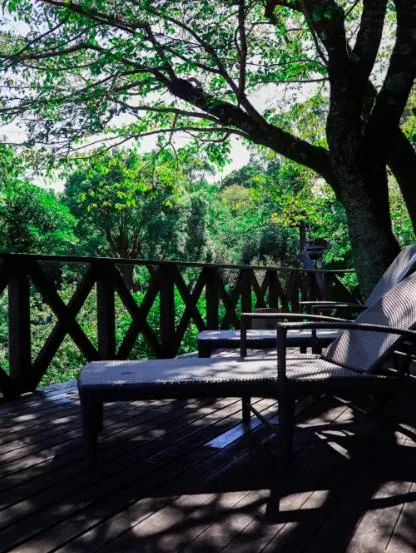 熱海 櫂雲 (Atami-Kaiun)