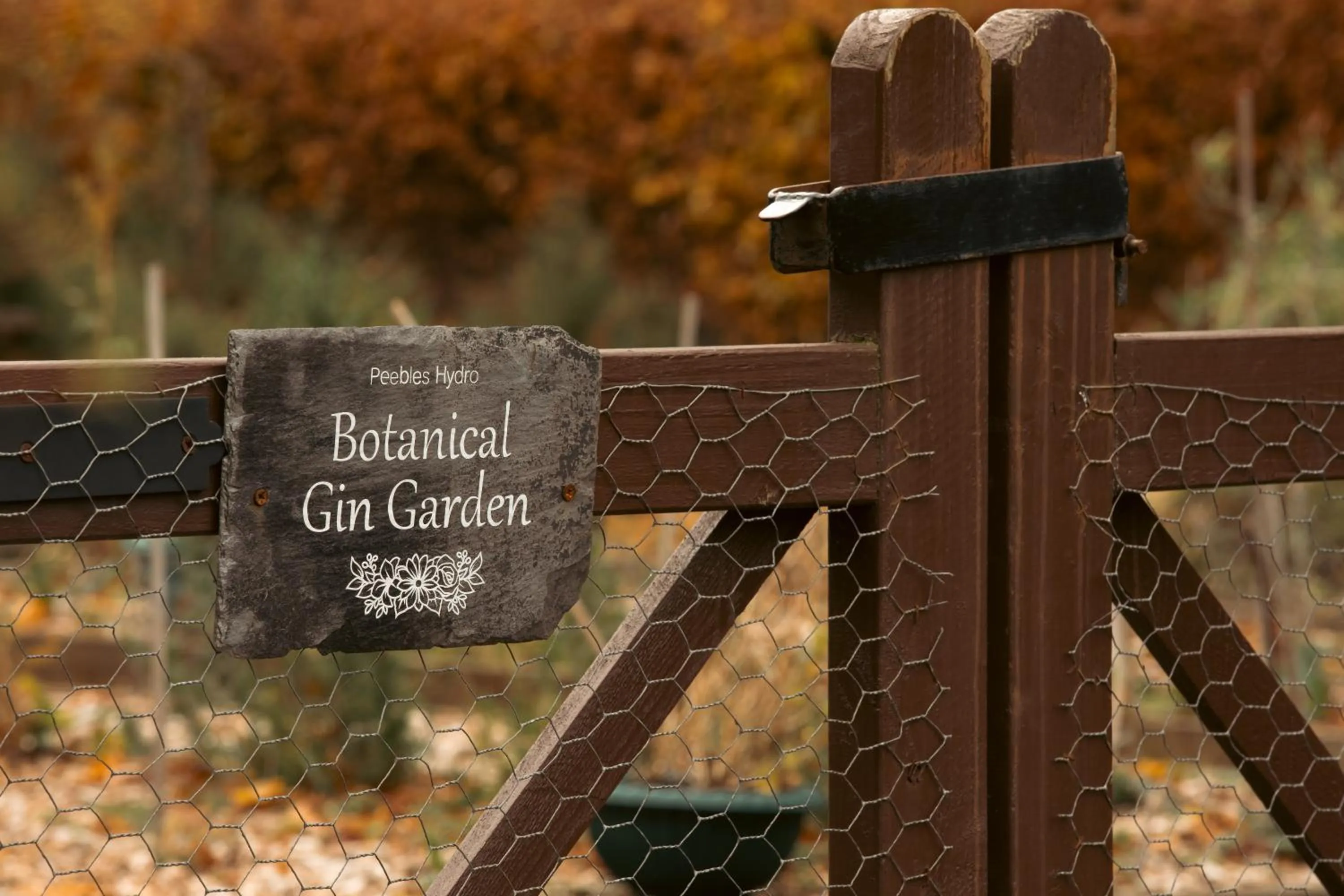 Garden in Peebles Hydro