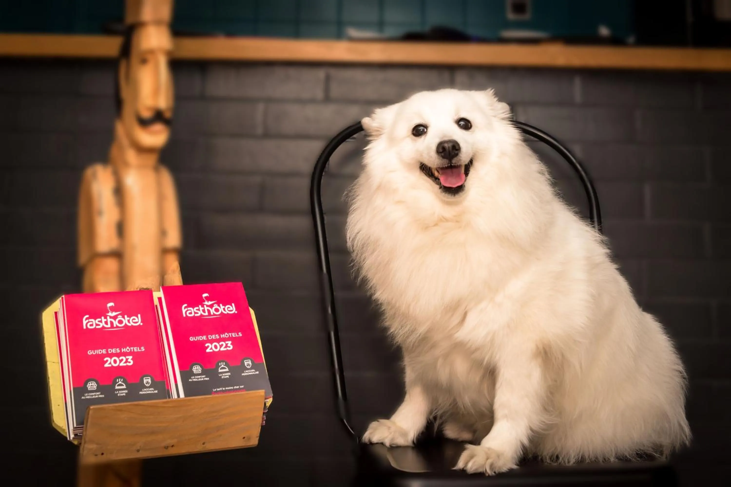 Animals in Fasthôtel Limoges Nord - FH Confort