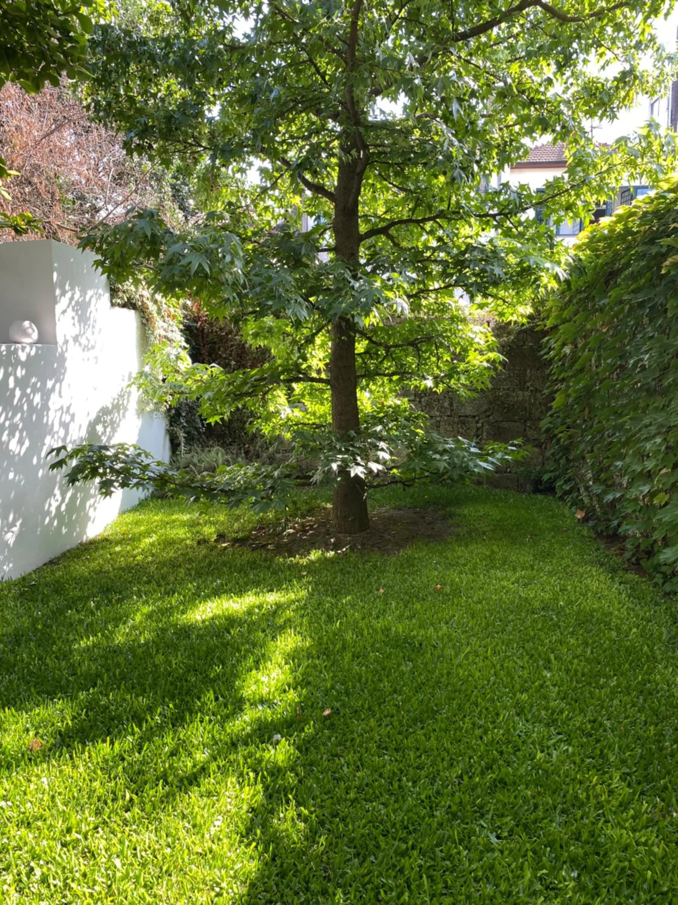 Garden in Casa 45 Porto