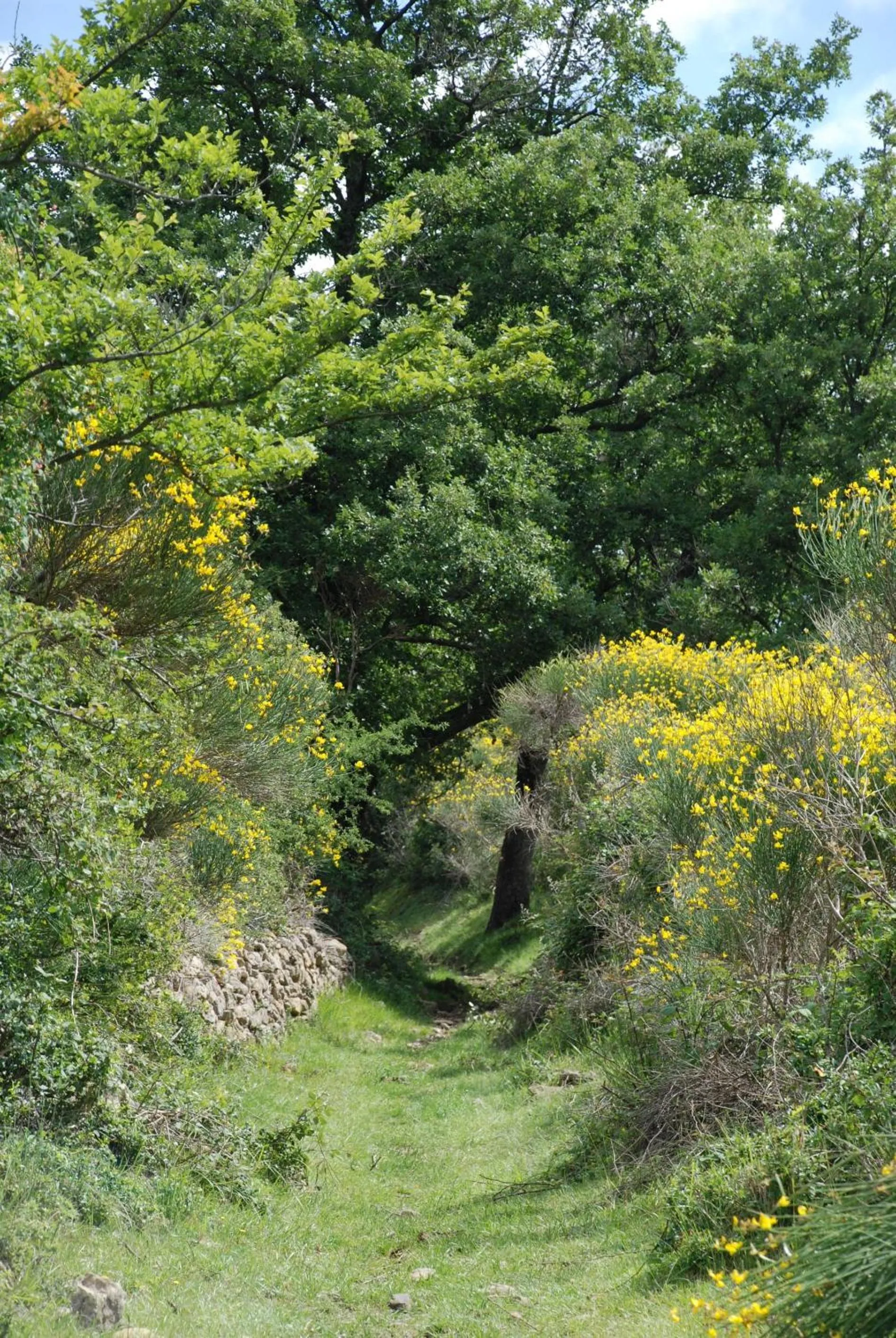 Natural landscape in Hôtel De France