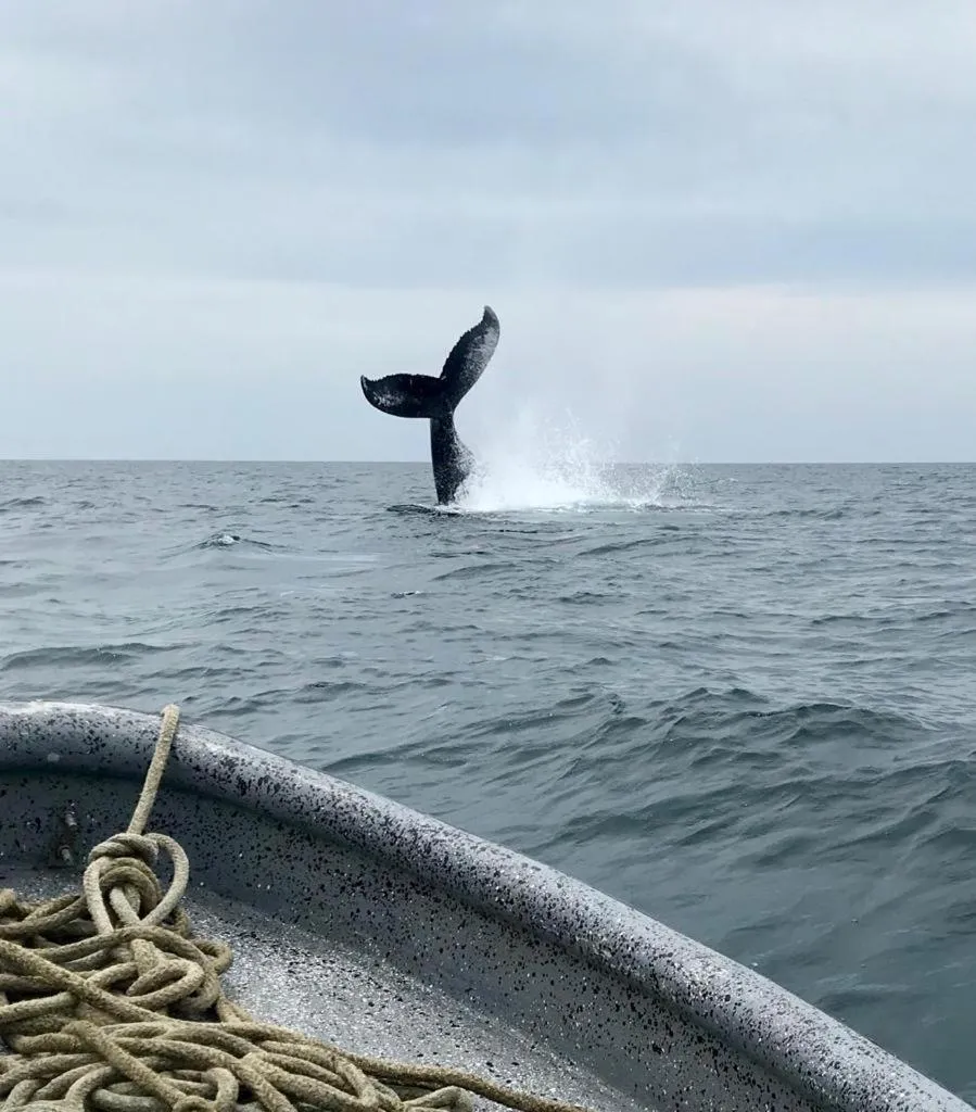 Activities in Mar Y Oro