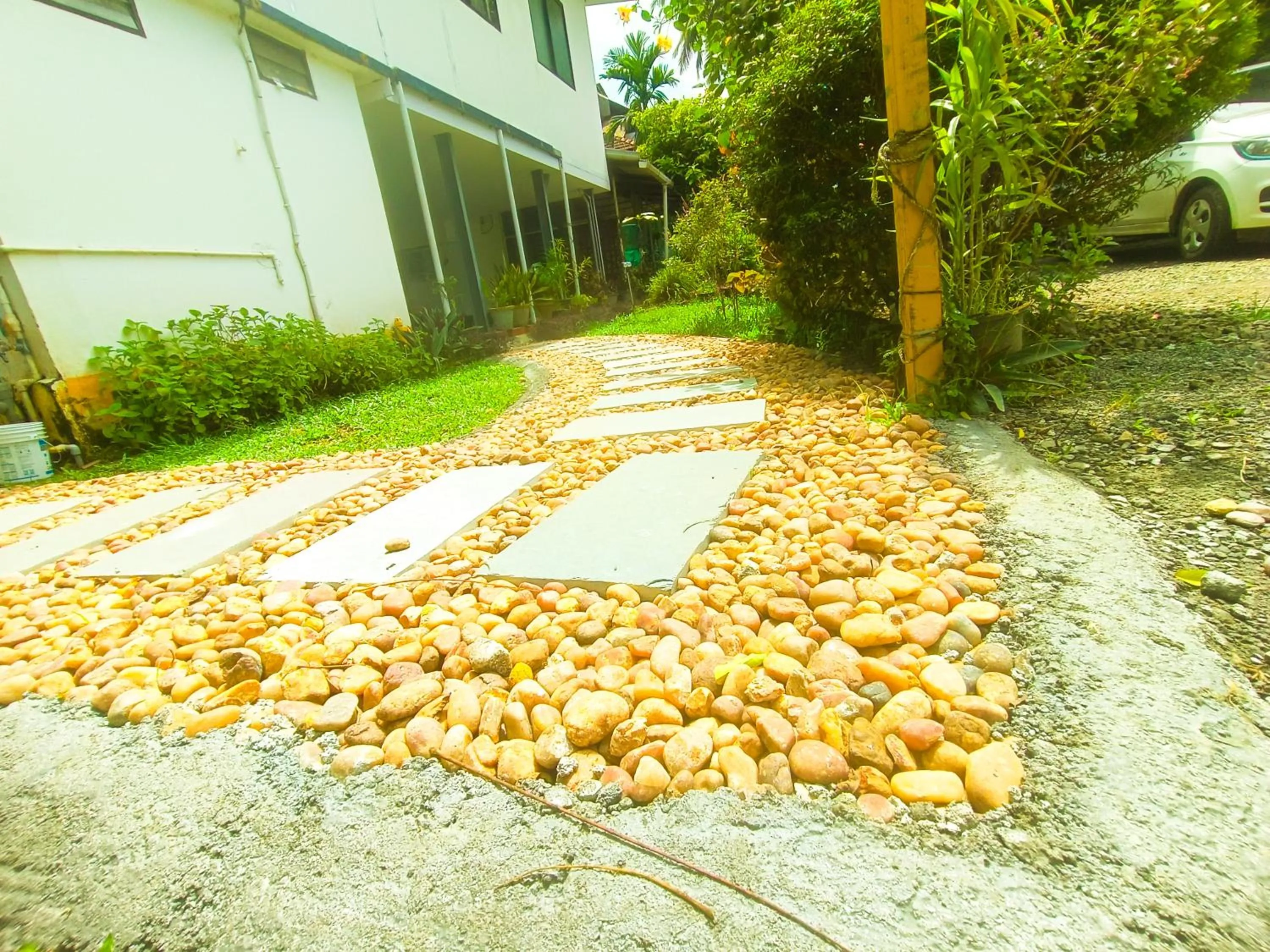 View (from property/room) in Nature Villa Kochi