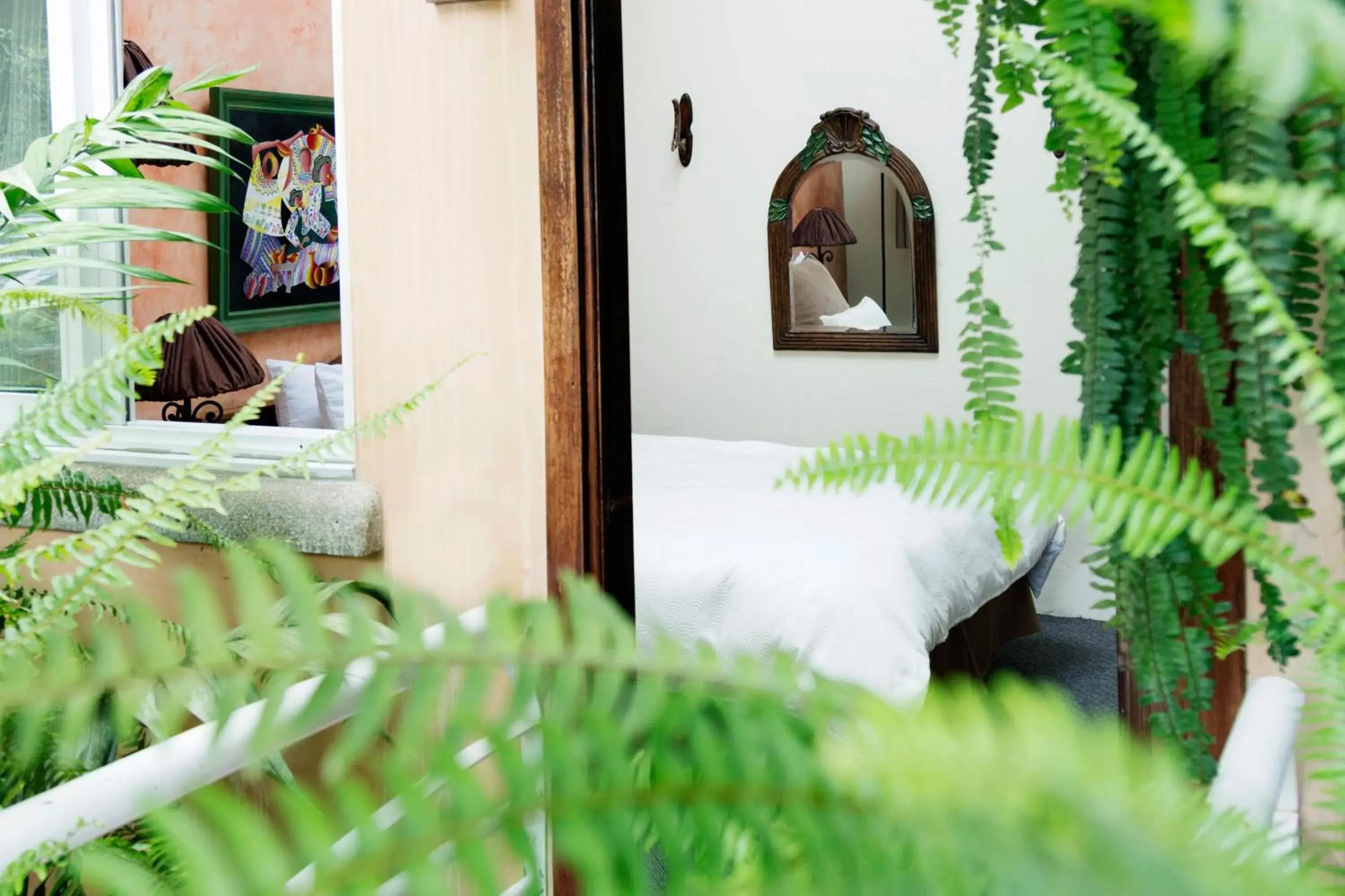 Standard Single Room - single occupancy in Hotel Ciudad Vieja Standard Single Room - single occupancy in Hotel Ciudad Vieja