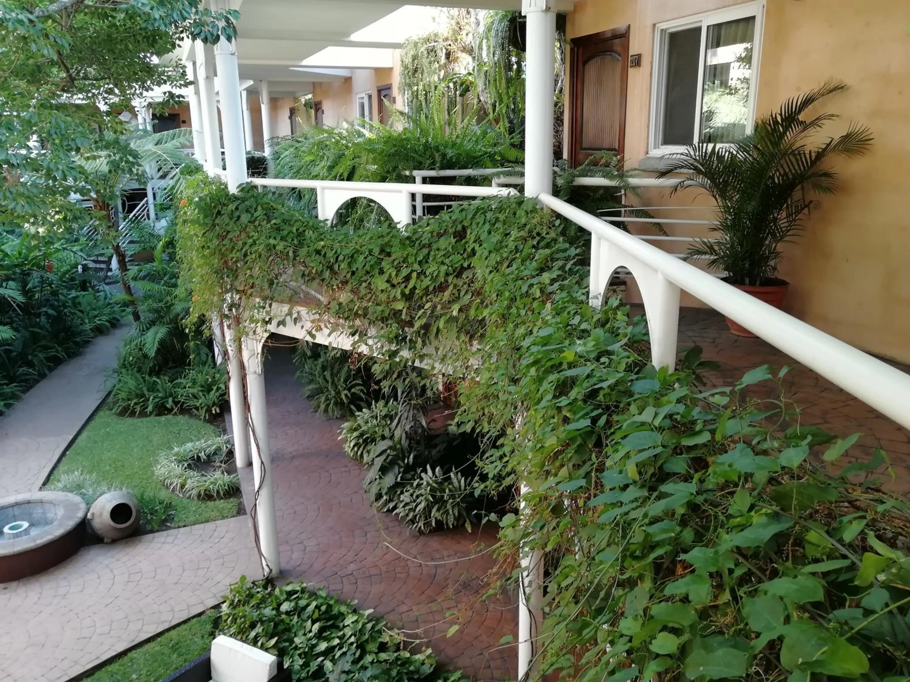 Natural landscape in Hotel Ciudad Vieja