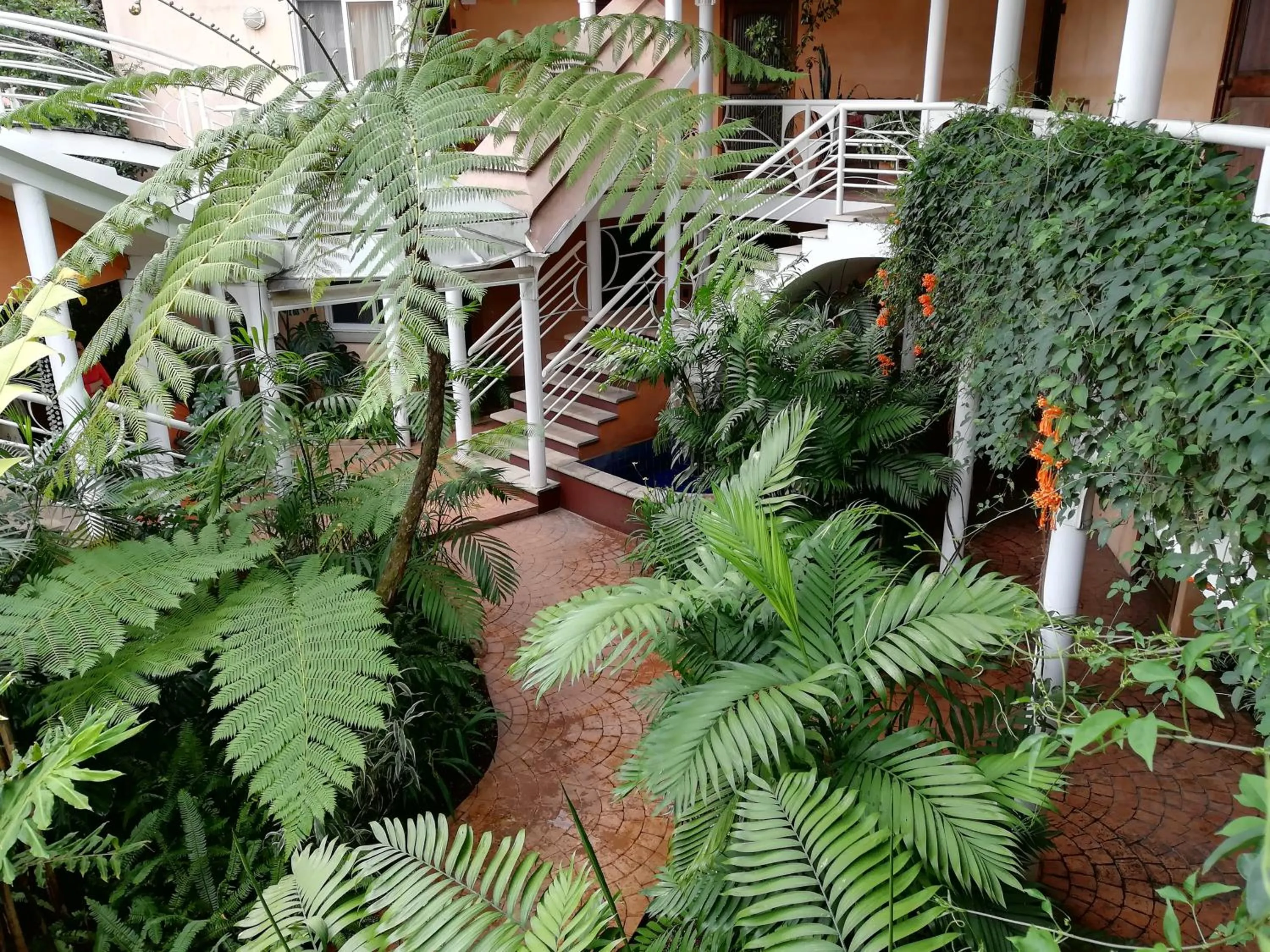 Garden view in Hotel Ciudad Vieja