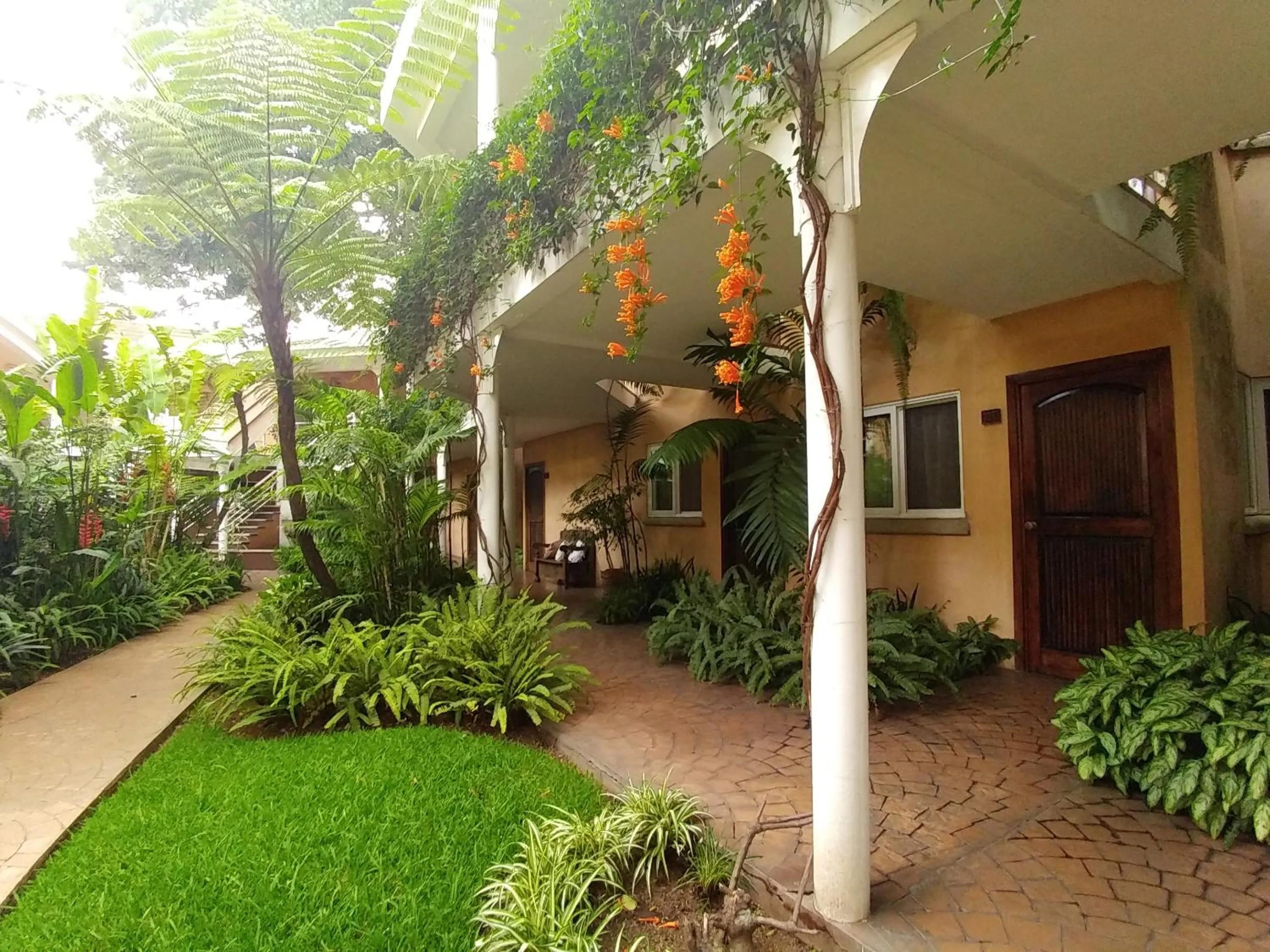 Garden view in Hotel Ciudad Vieja