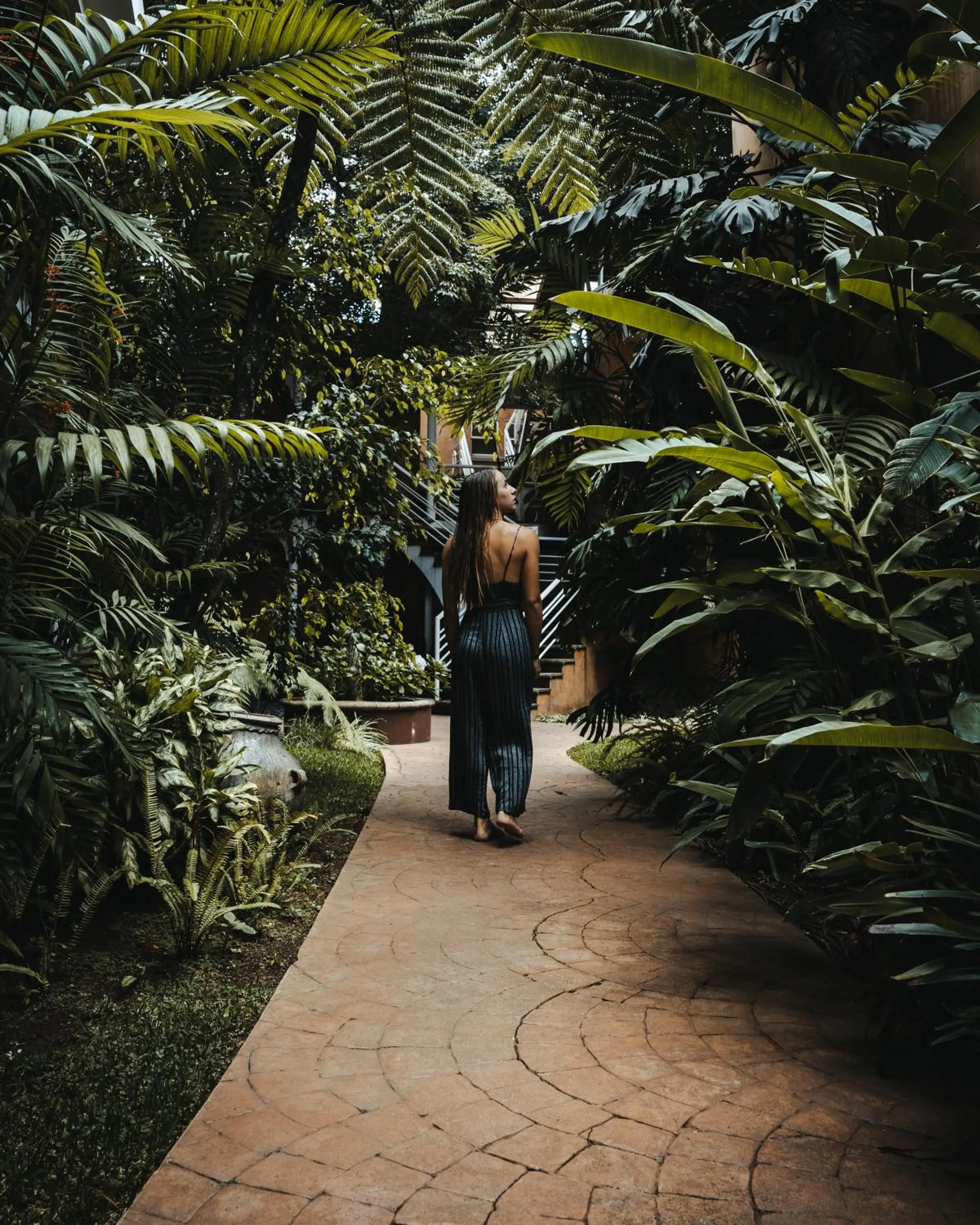 Garden in Hotel Ciudad Vieja