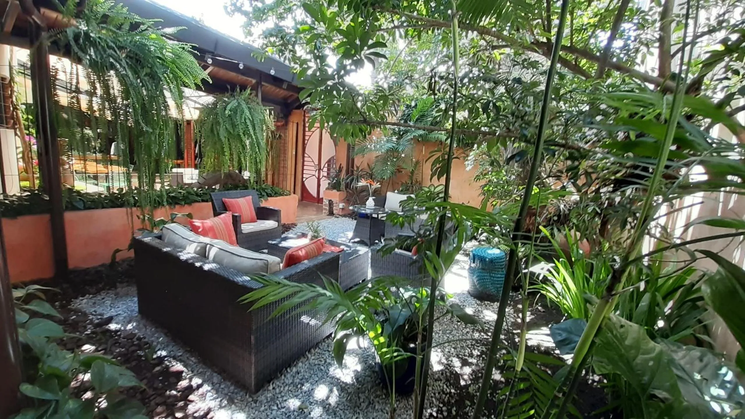 Garden in Hotel Ciudad Vieja