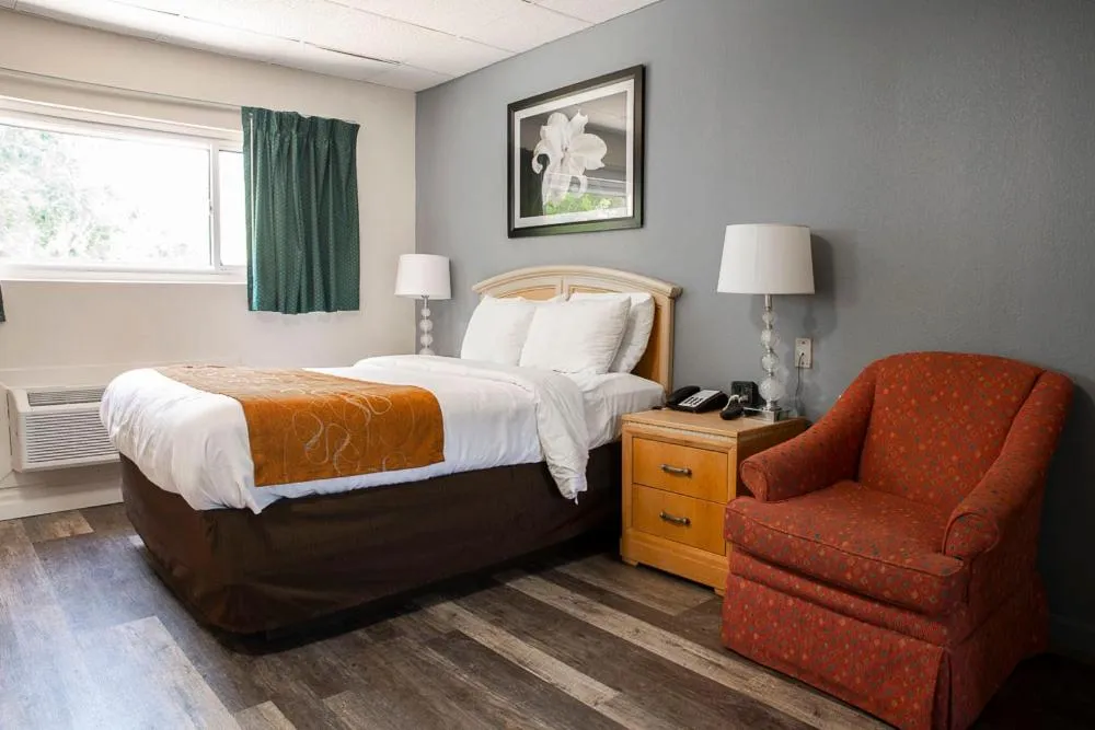 Bed in Bedford Motel