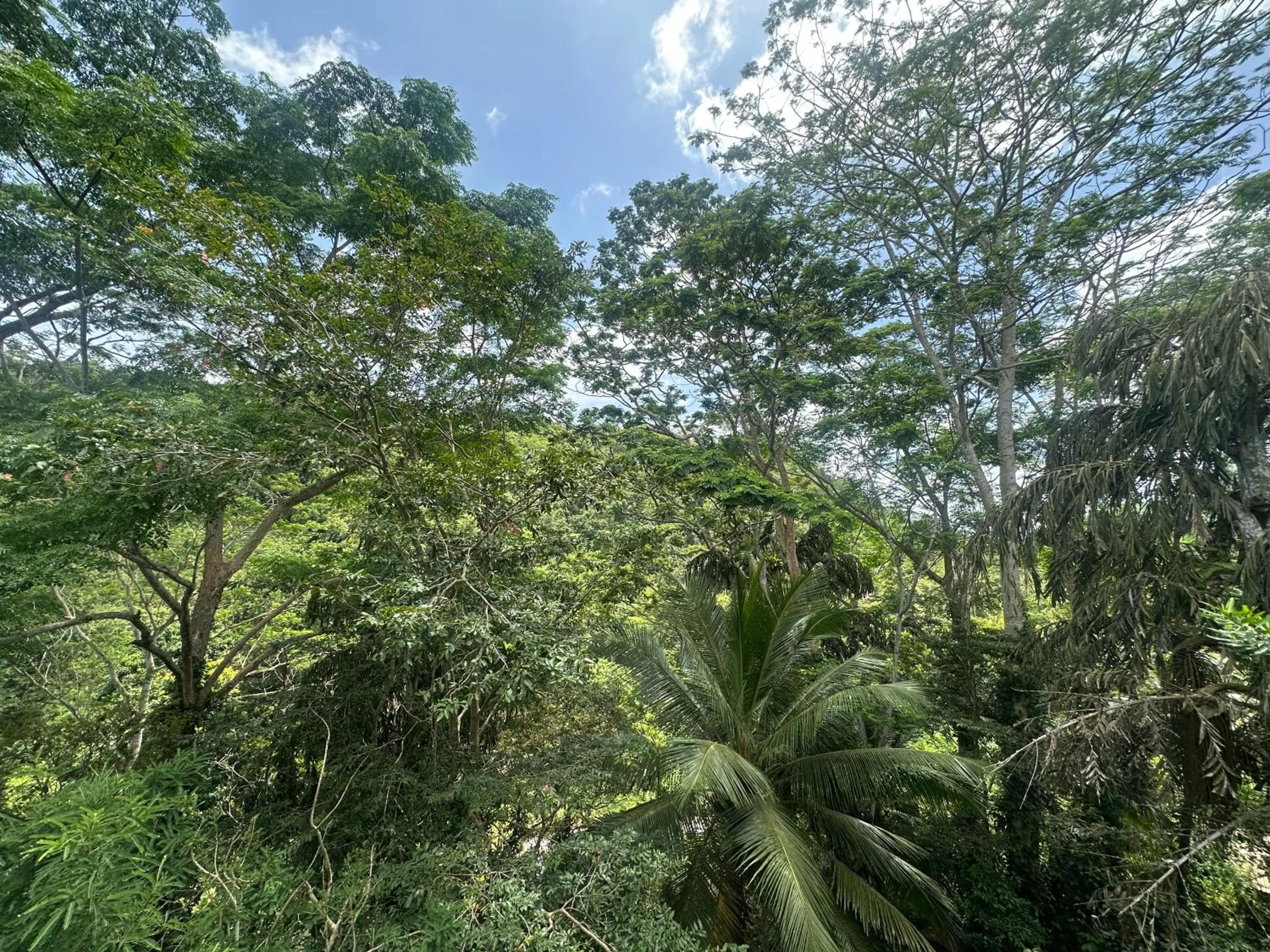 Natural landscape in Niyagama House