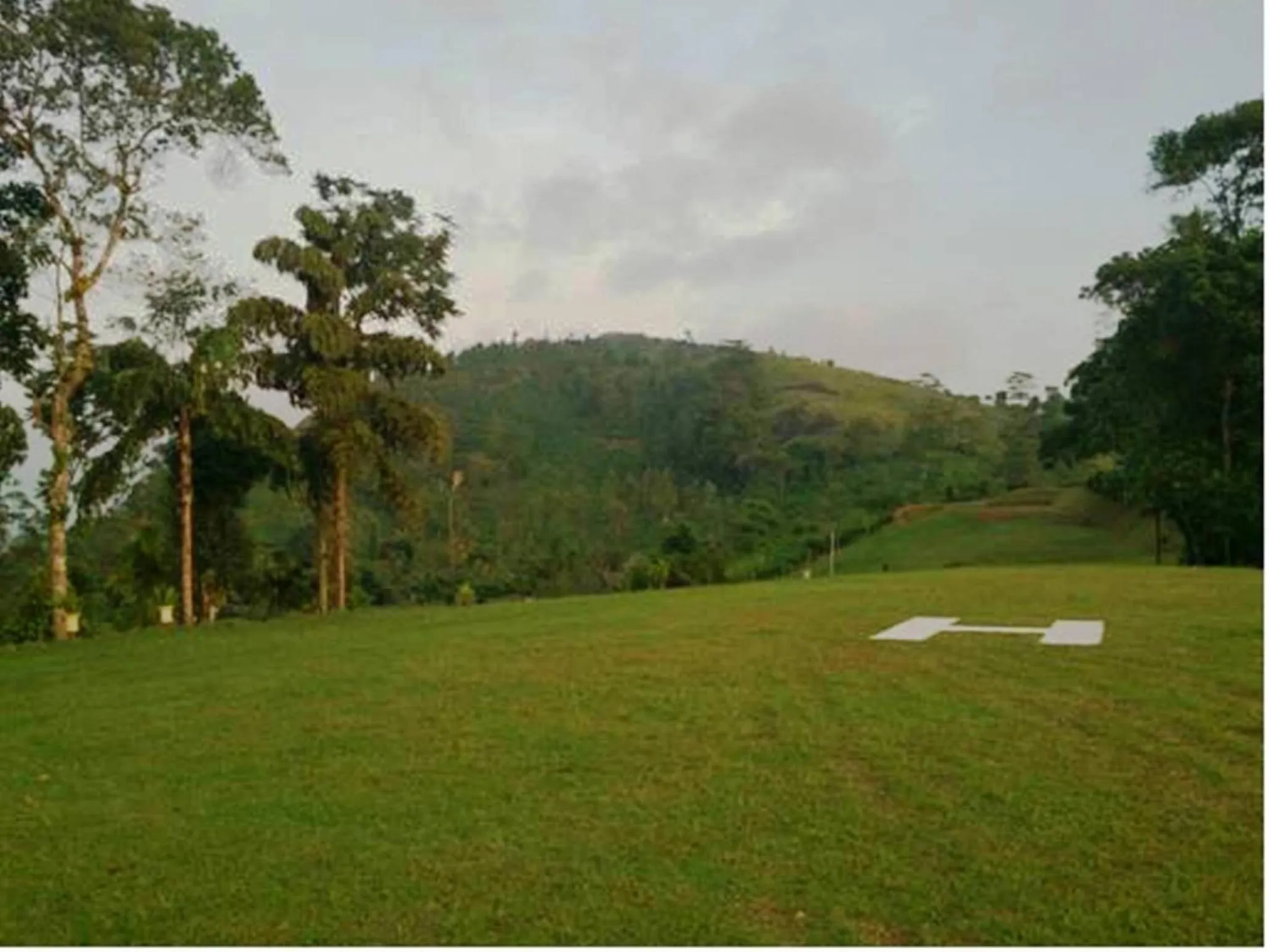 Garden in Ancoombra Tea Estate Bungalow