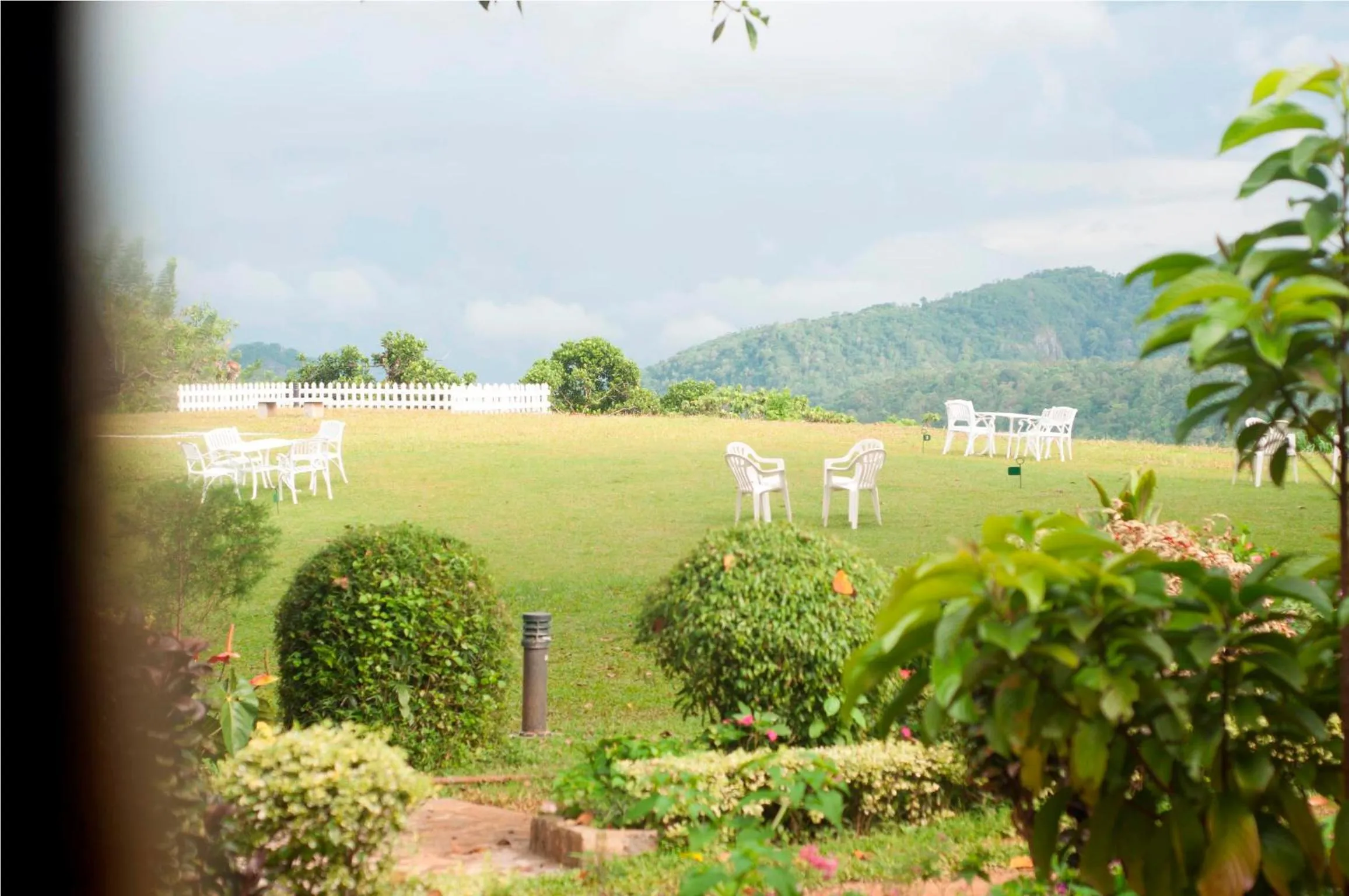 Natural landscape in Ancoombra Tea Estate Bungalow