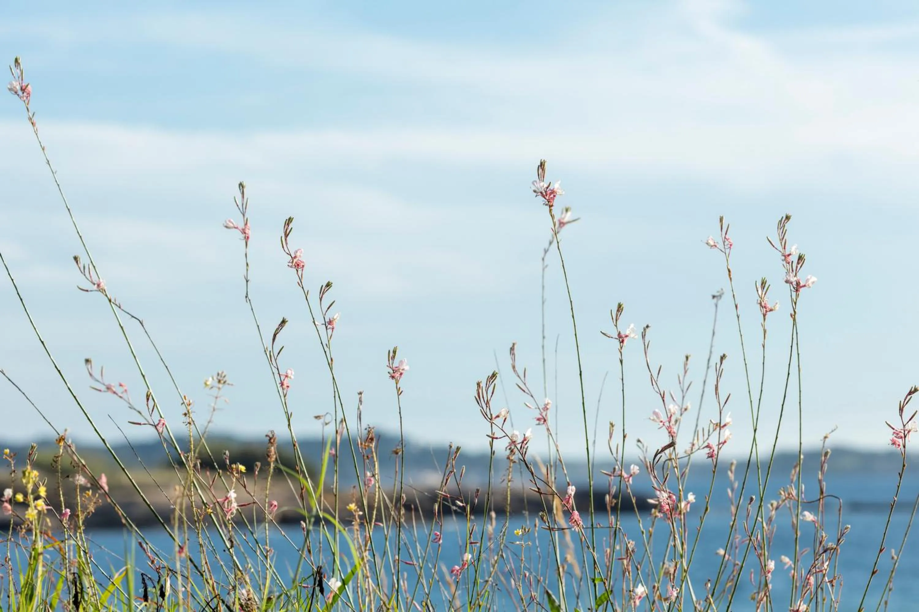 Nearby landmark in Garden & City Six-Fours-les-Plages