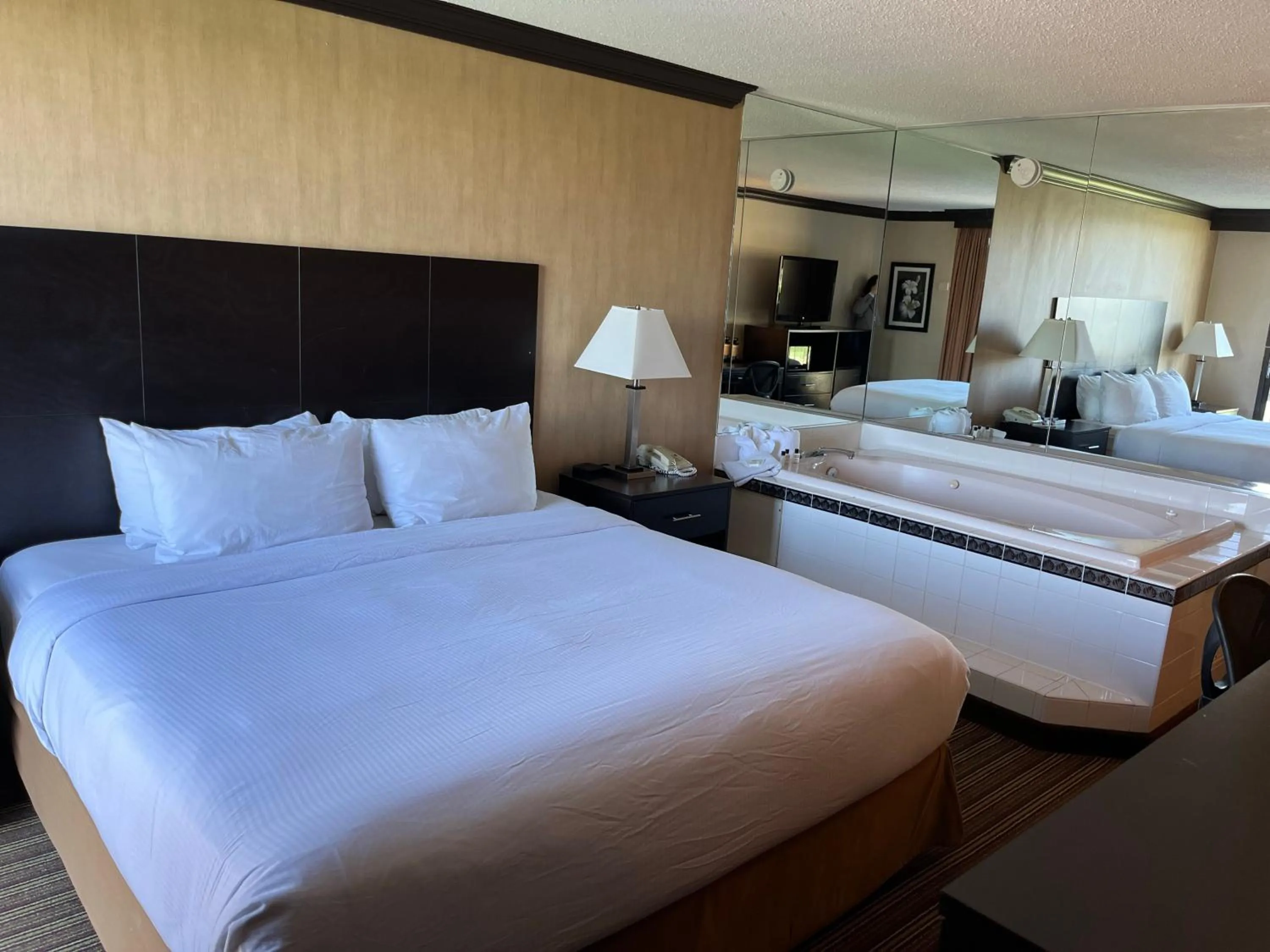 Hot Tub, Bed in Wyndham Garden Schaumburg Chicago Northwest