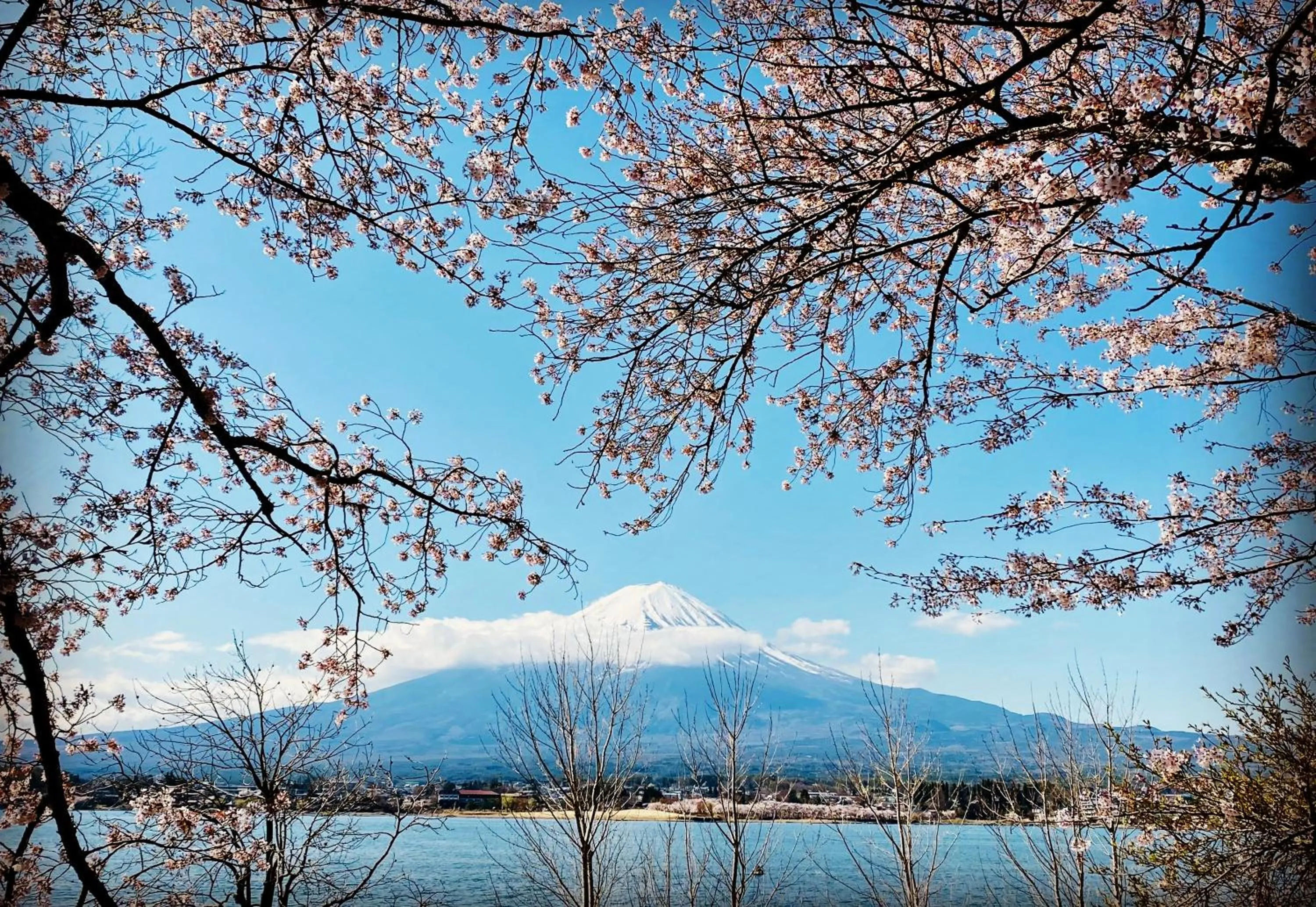 Off site in Mt Fuji Glamping TOURIST VILLA Kawaguchiko