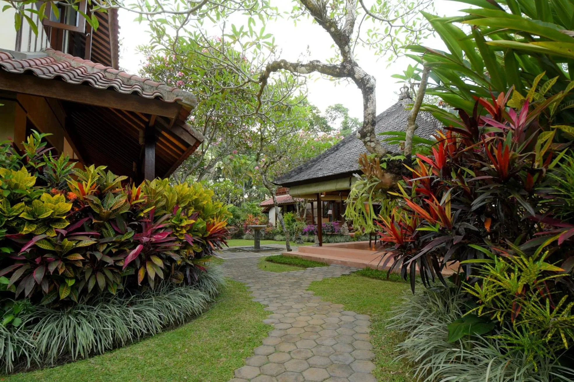 Garden in Rumah Ganesha Ubud