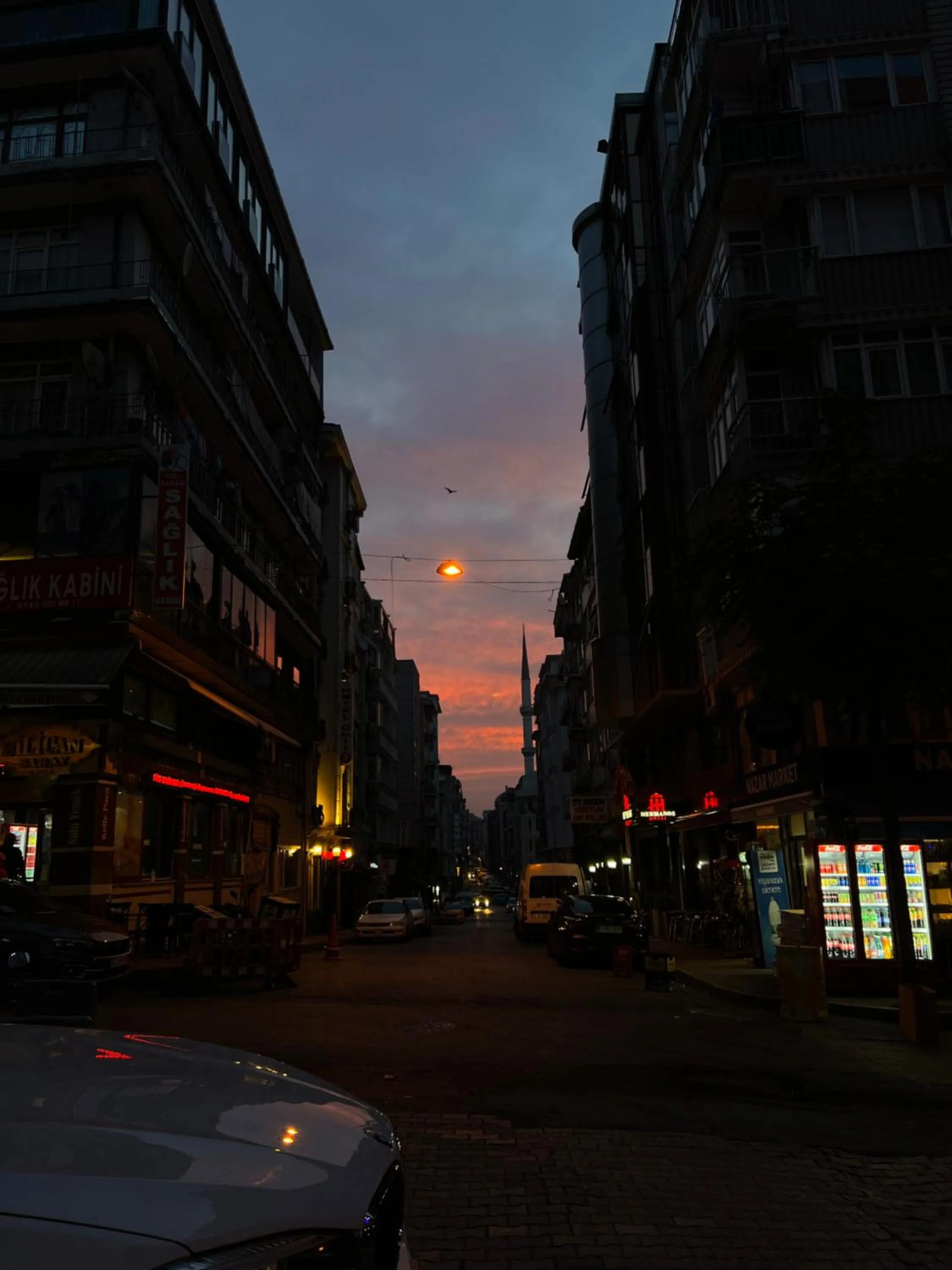 Natural landscape in Elit Palace Hotel