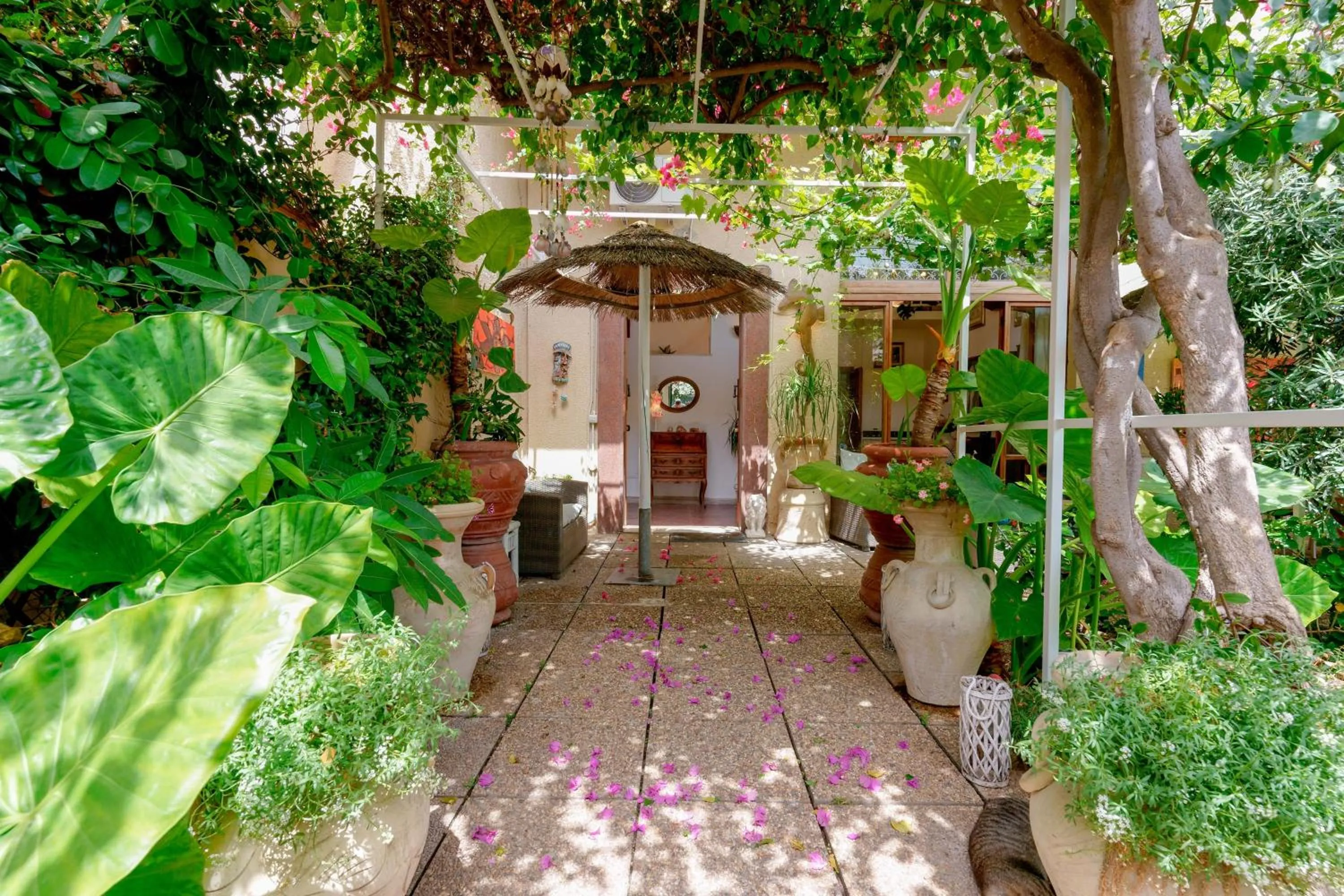 Garden in Villabeachcity Guesthouse