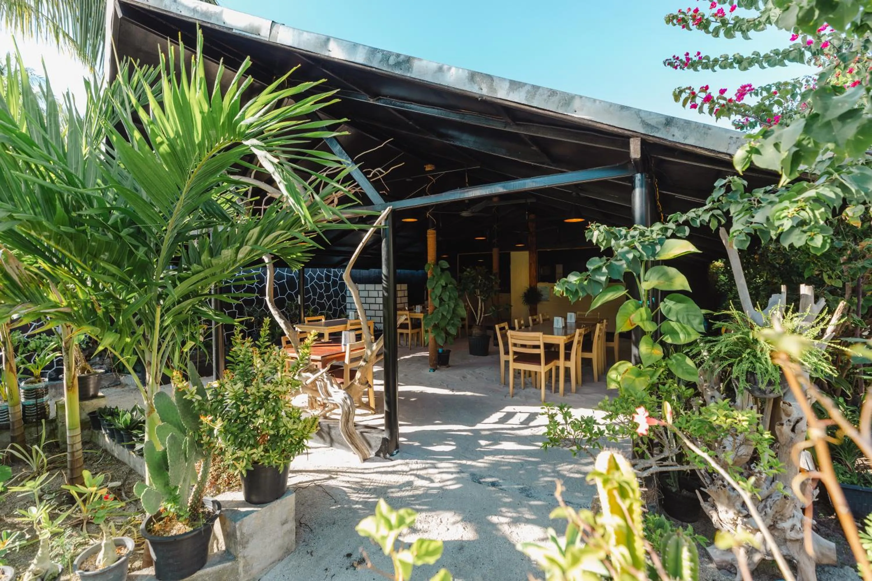 Restaurant/places to eat in Turtle Maldives - Your Gateway to the Beach & Marine Adventures Await!