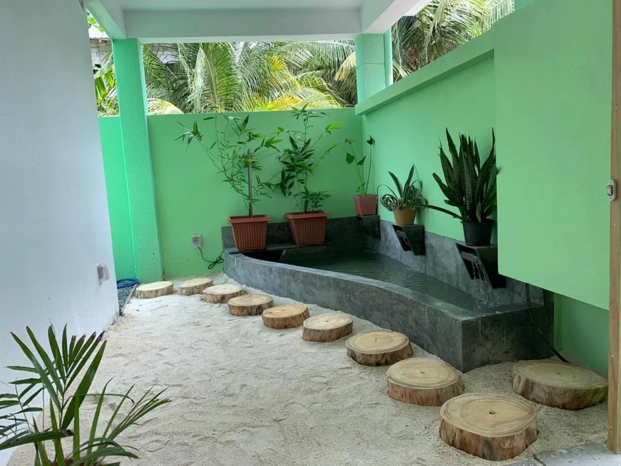 Day in Turtle Maldives - Your Gateway to the Beach & Marine Adventures Await!