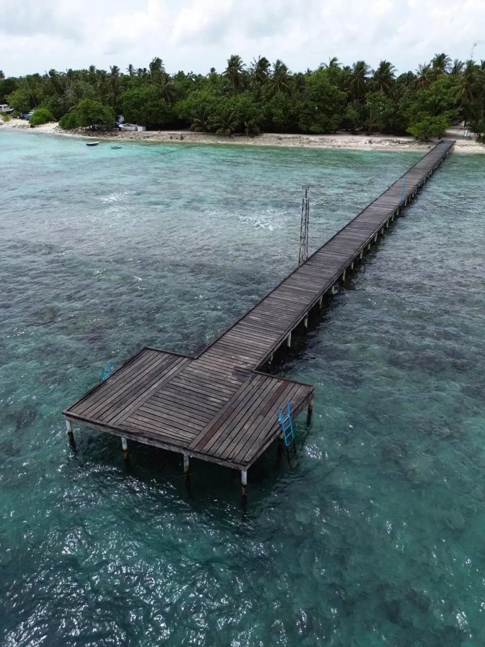 Natural landscape in Turtle Maldives - Your Gateway to the Beach & Marine Adventures Await!