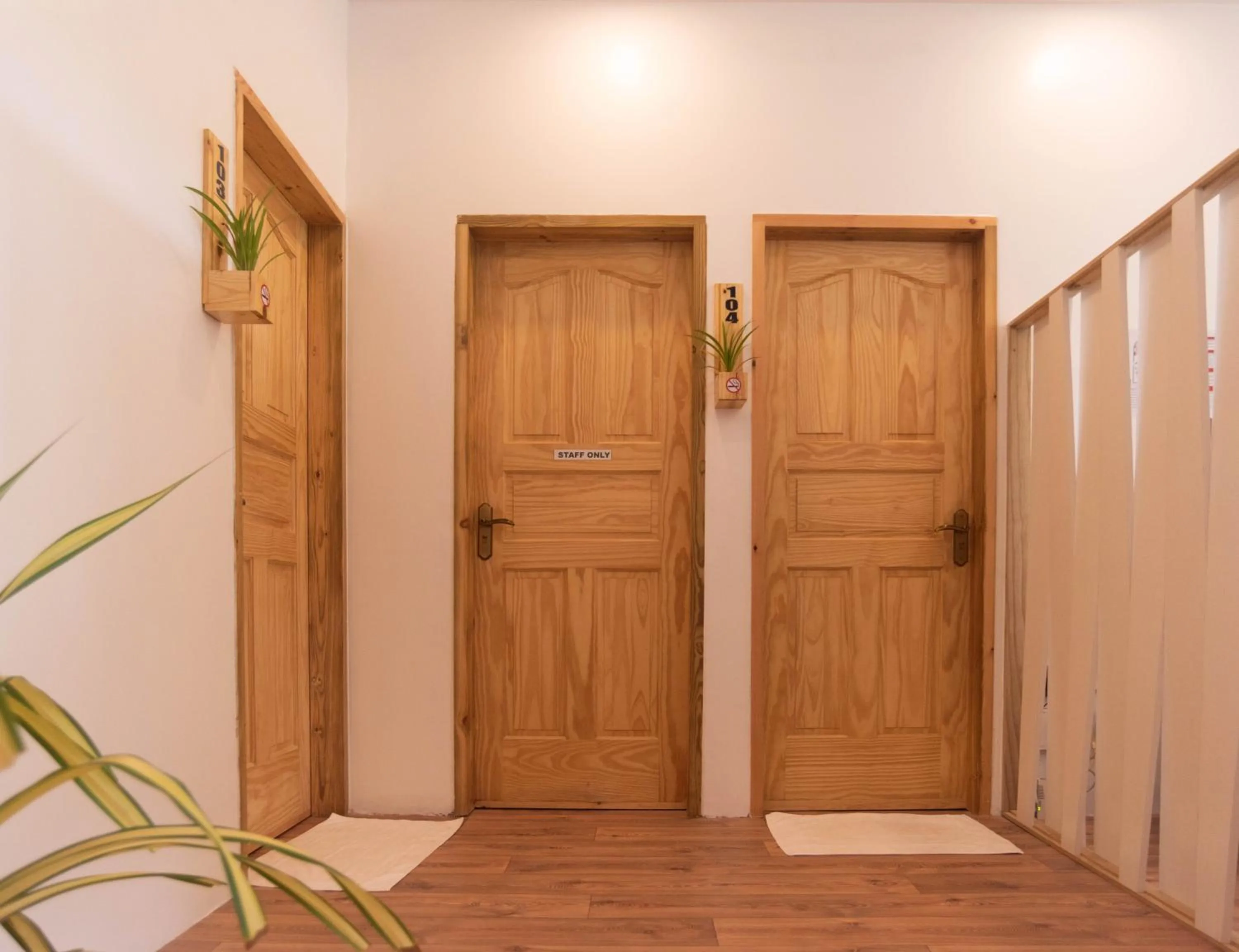 Lobby or reception in Turtle Maldives - Your Gateway to the Beach & Marine Adventures Await!