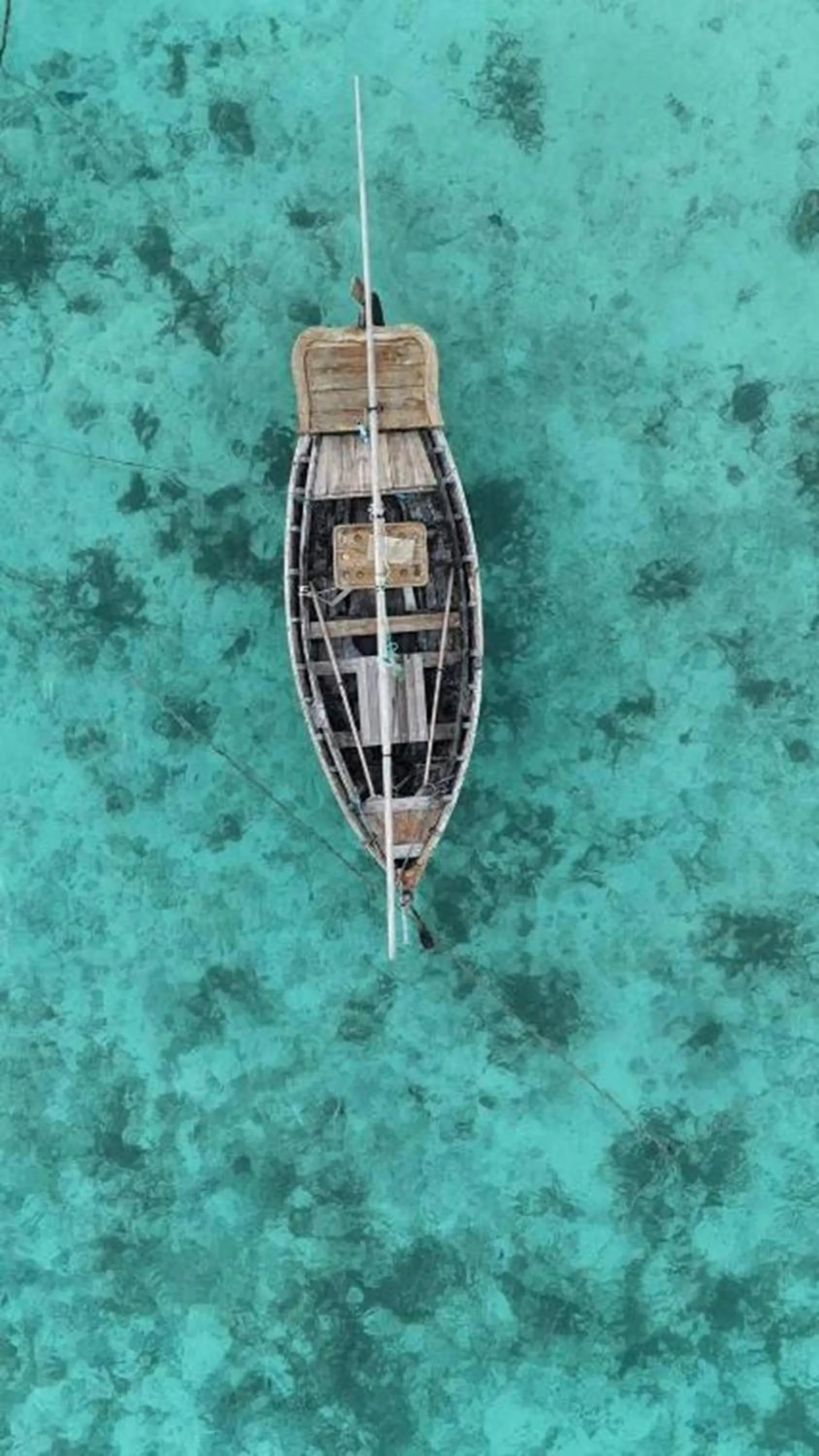 Activities in Turtle Maldives - Your Gateway to the Beach & Marine Adventures Await!