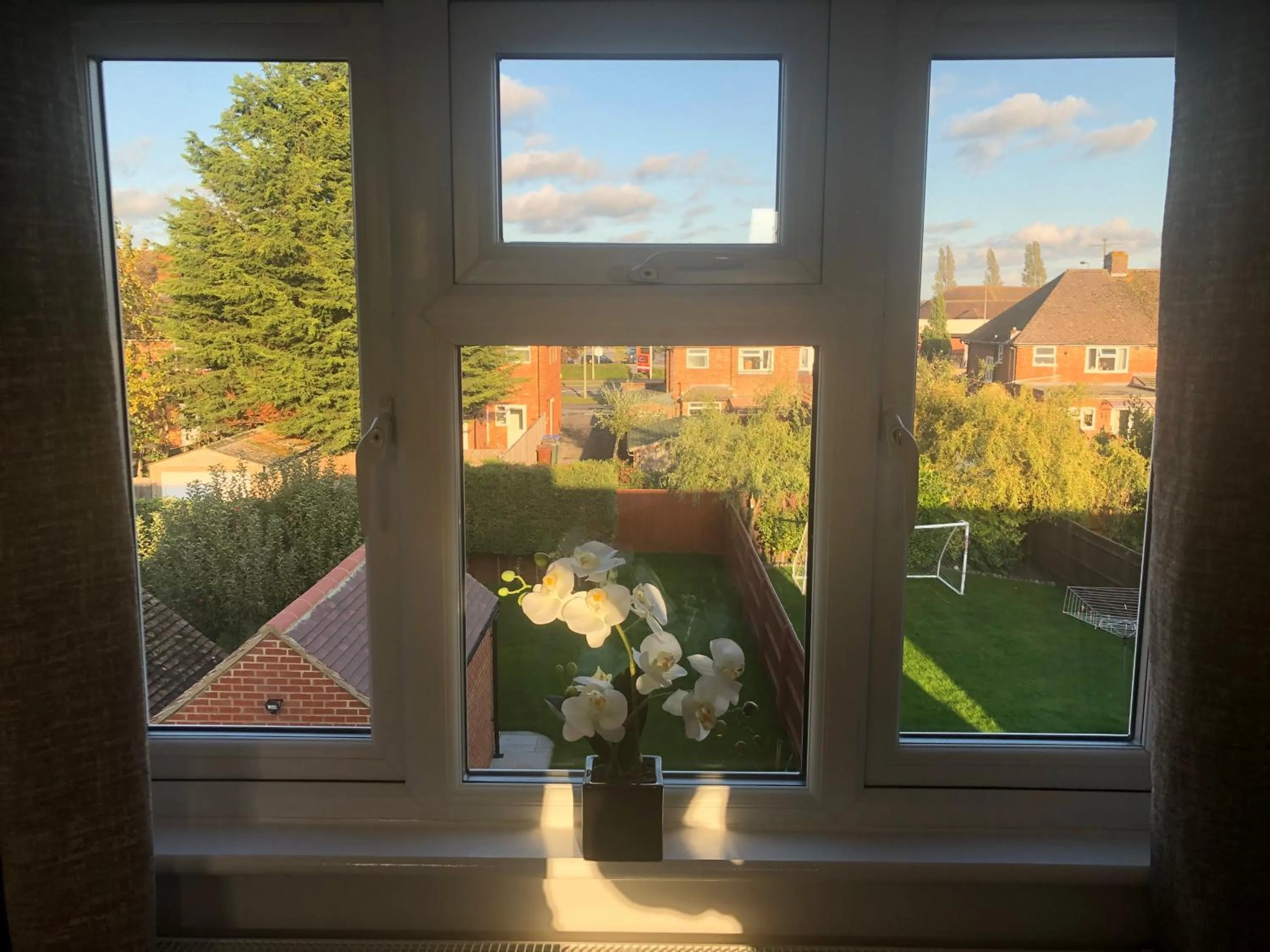 Garden in South Avenue B&B