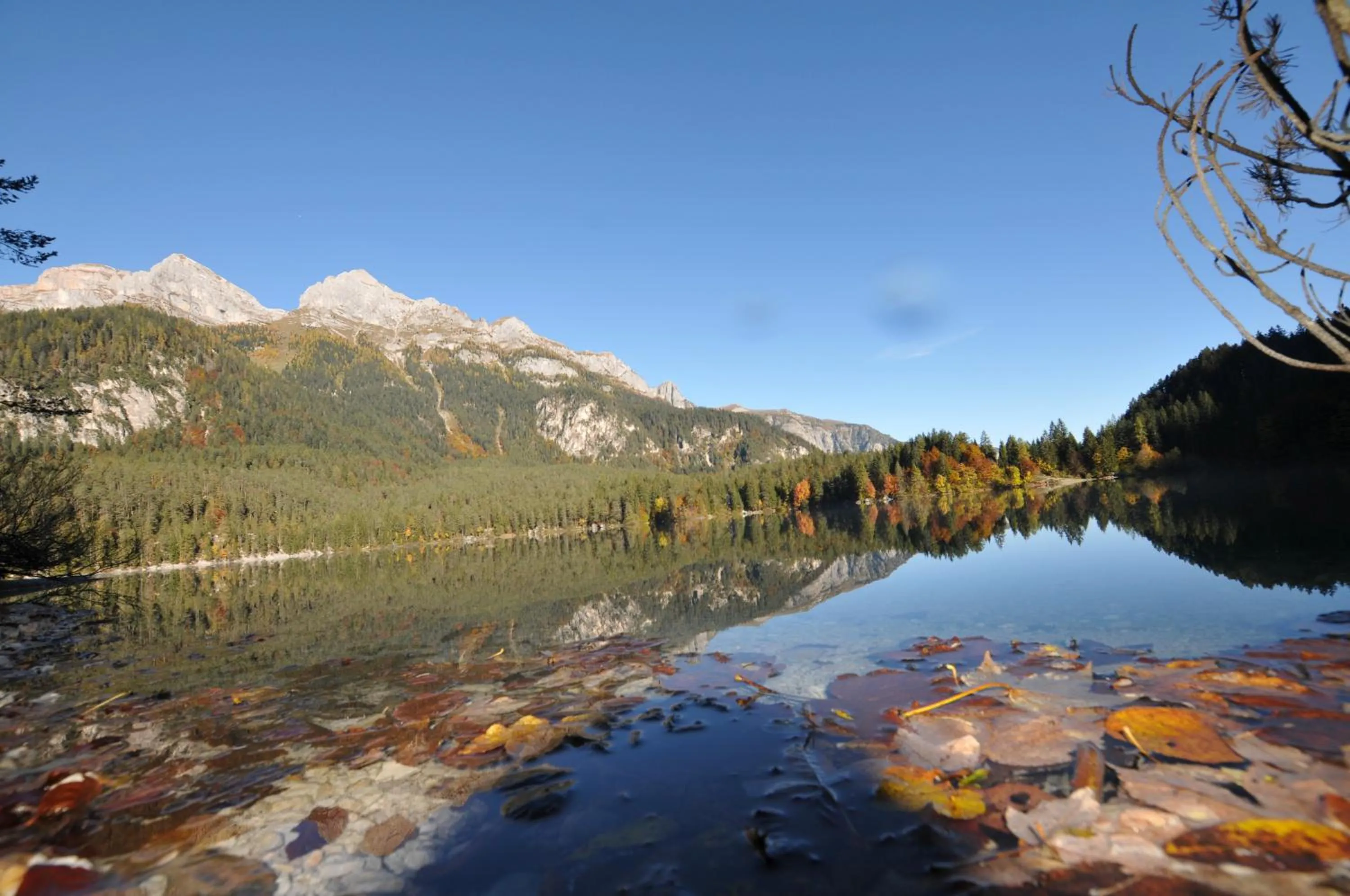 Summer in Chalet Tovel - Mountain Lake