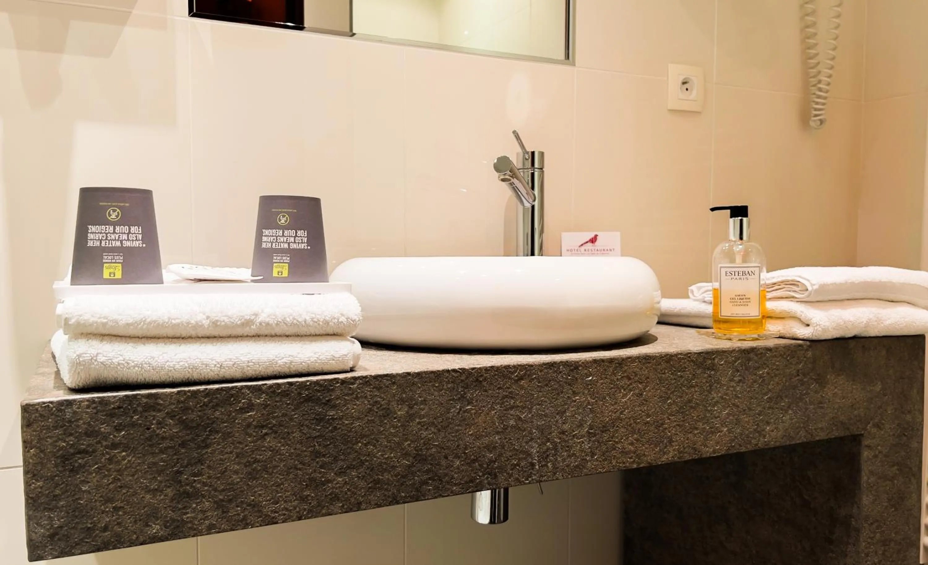 Logis hôtel Restaurant Le Faisan Dore