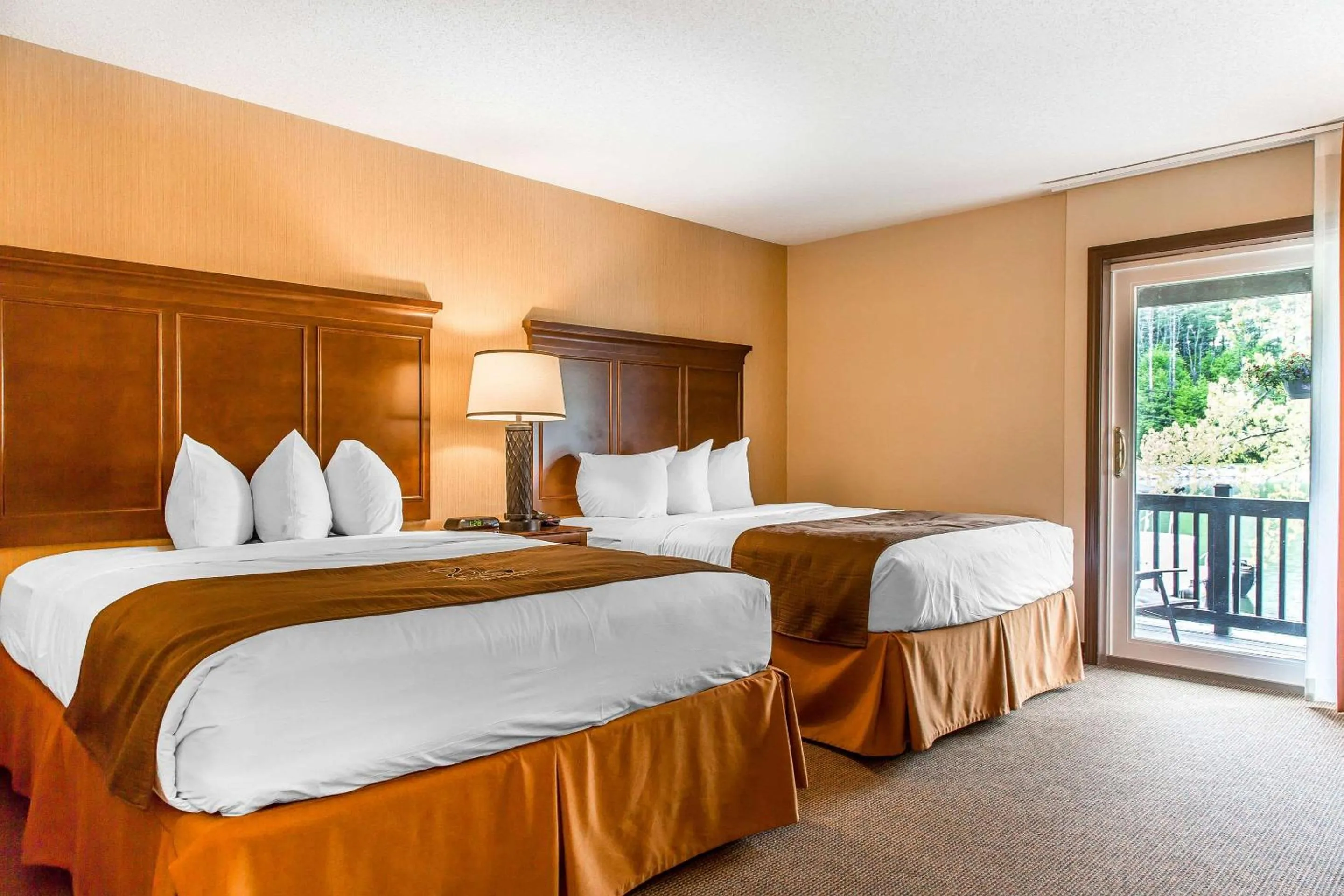 Deluxe Queen Room with Queen Bed and Lake View in The Black Swan Lee - Lenox, an Ascend Collection Hotel