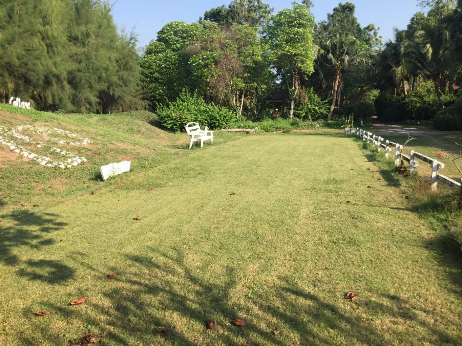 Natural landscape in Sanita Cottage