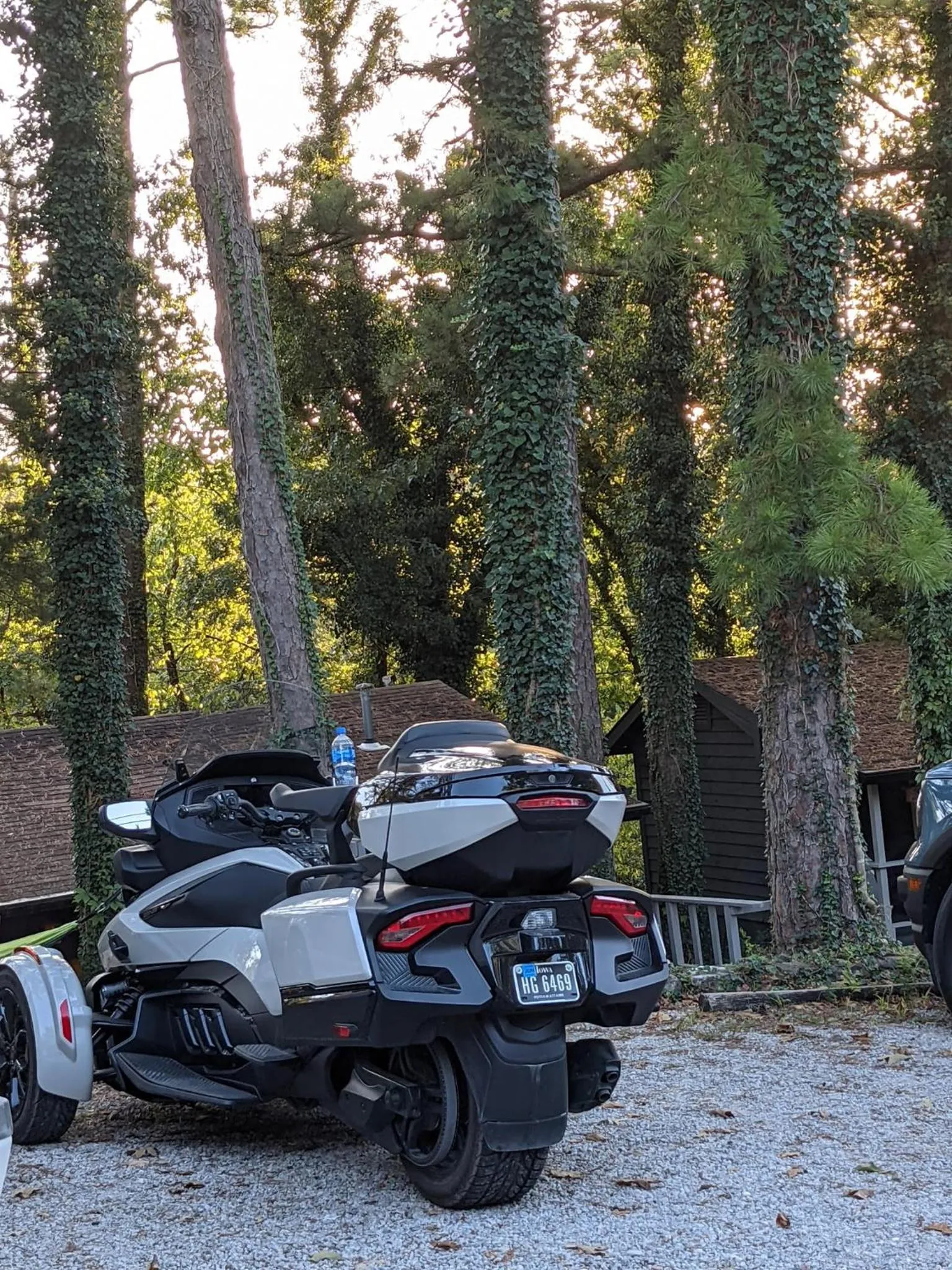 Loblolly Pines Adventure Cabin 2 King