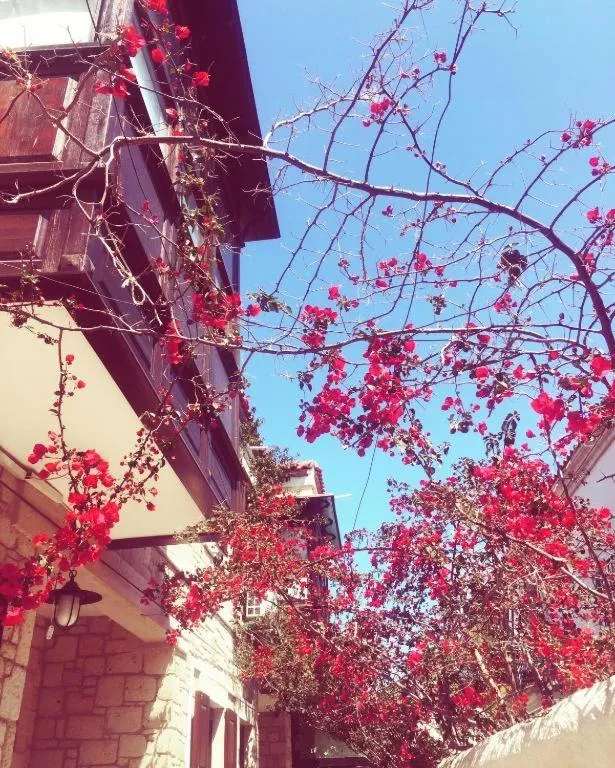 Garden view in Alayaz Hotel