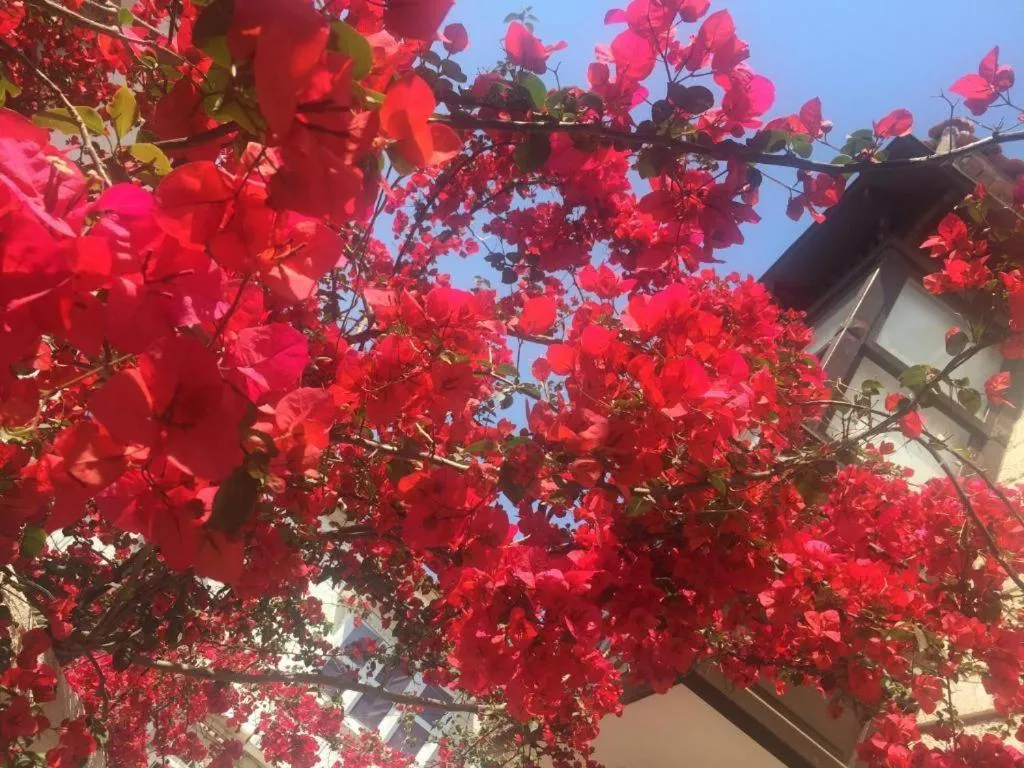 Inner courtyard view in Alayaz Hotel