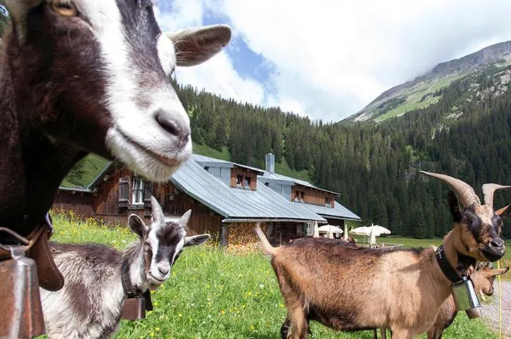 Spring in Hotel Adler Garni