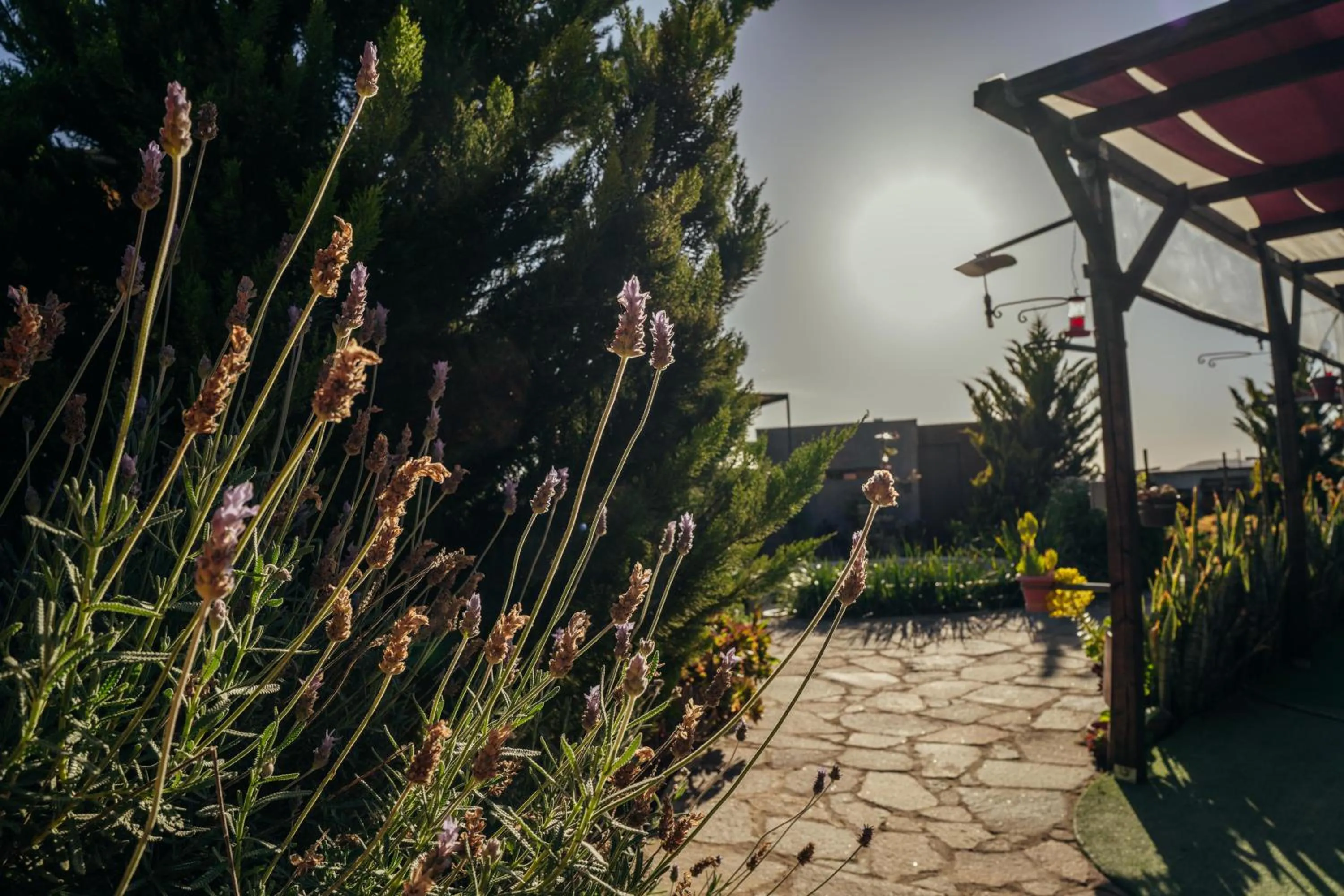 Garden in Entre Vides Valle de Guadalupe