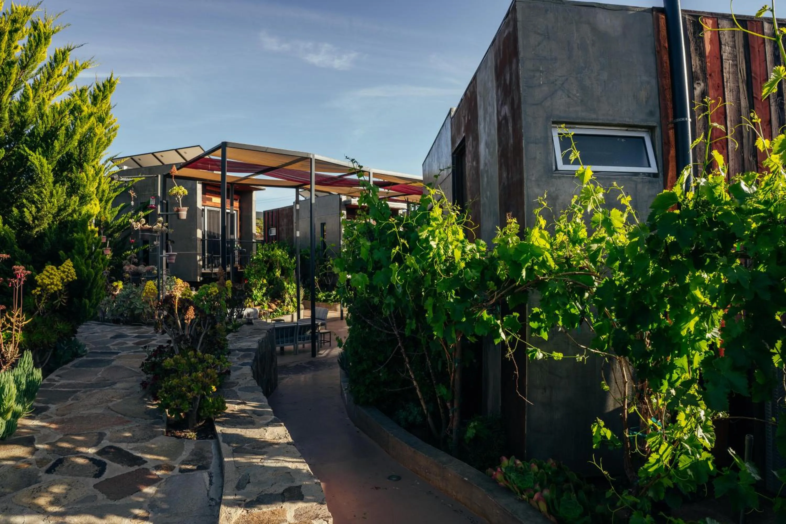 Property building in Entre Vides Valle de Guadalupe