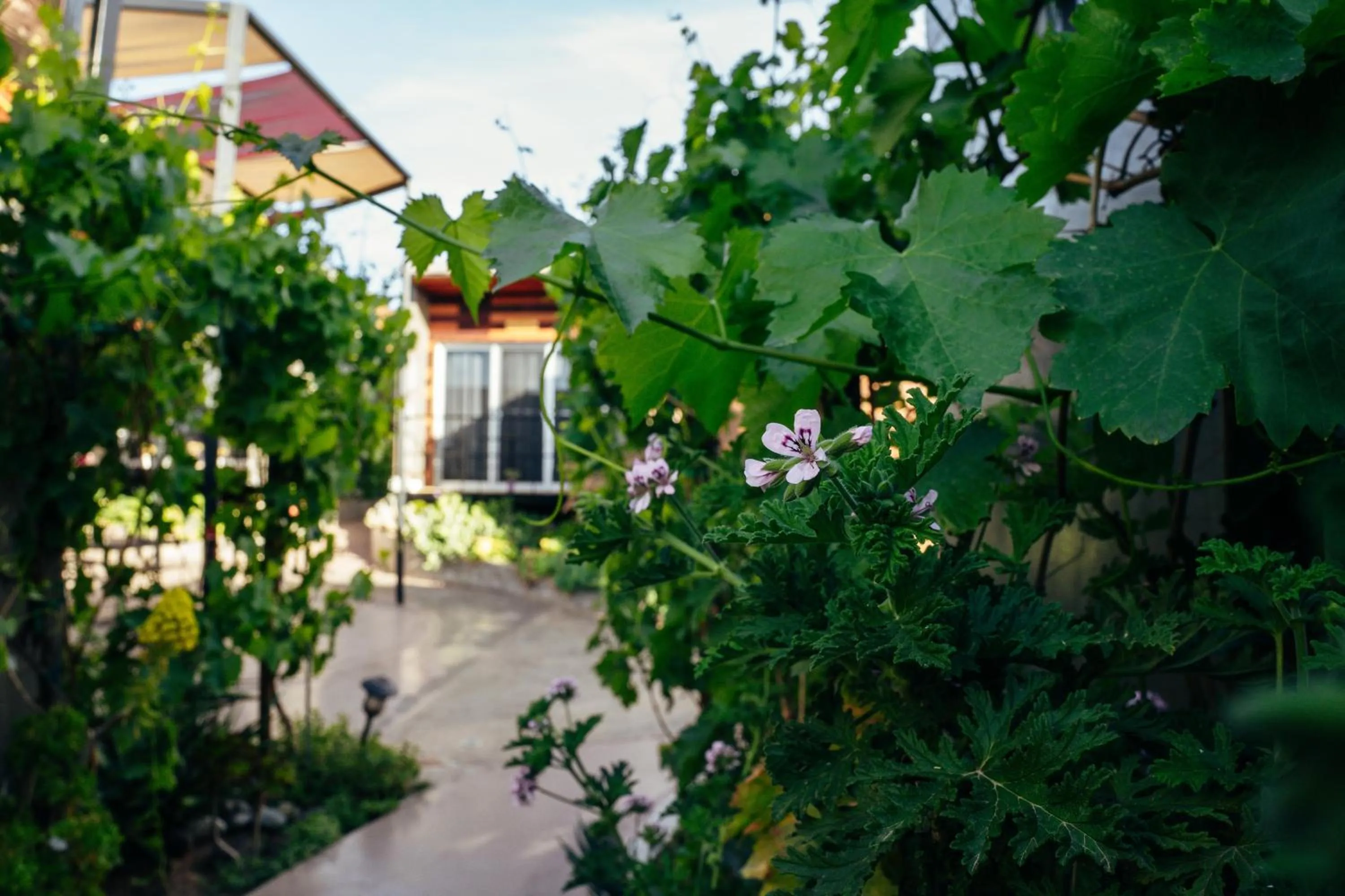 Property building in Entre Vides Valle de Guadalupe